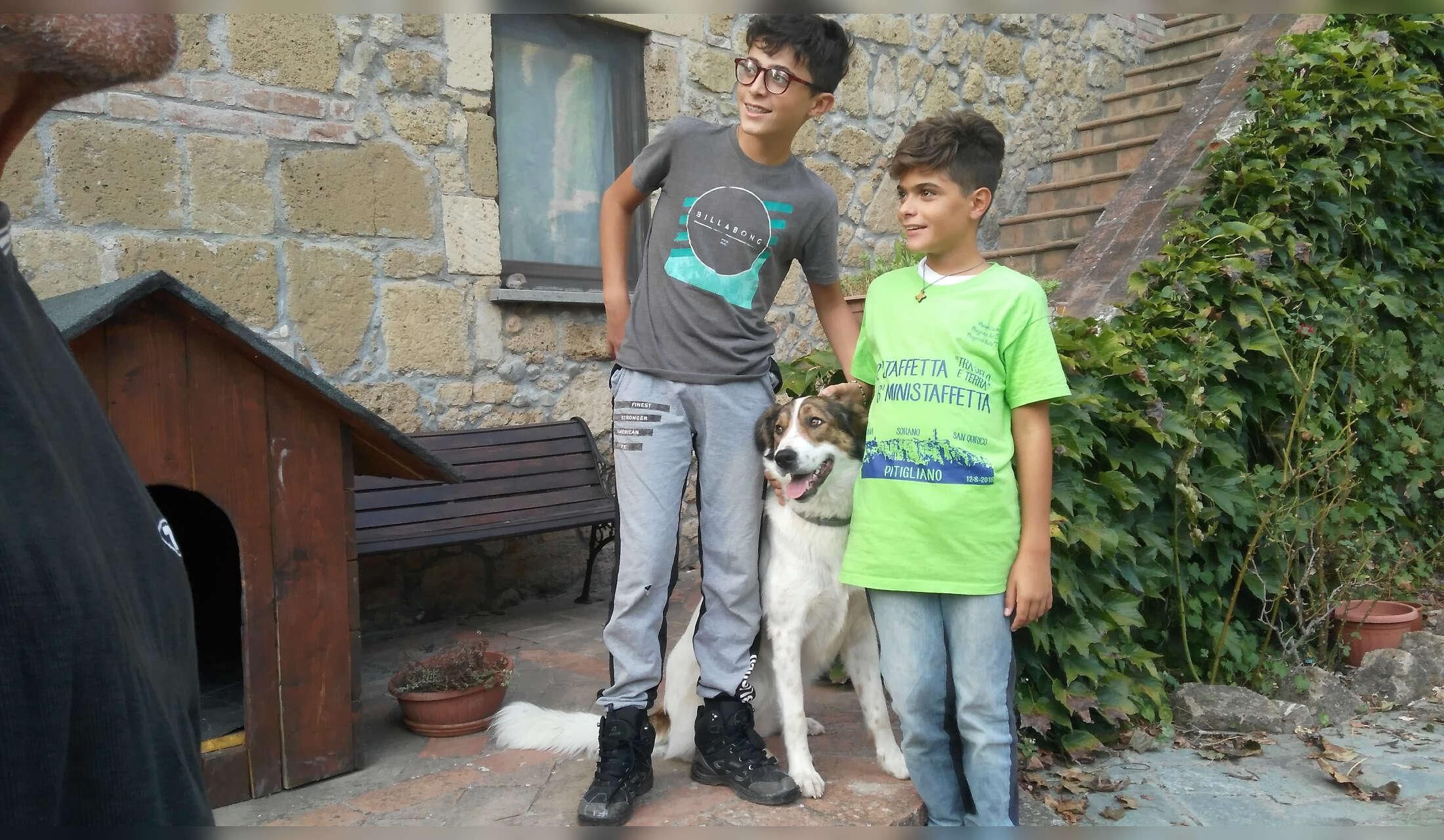 Peaceful winter in Tuscany with a lovely dog – off-grid country home - Image 4