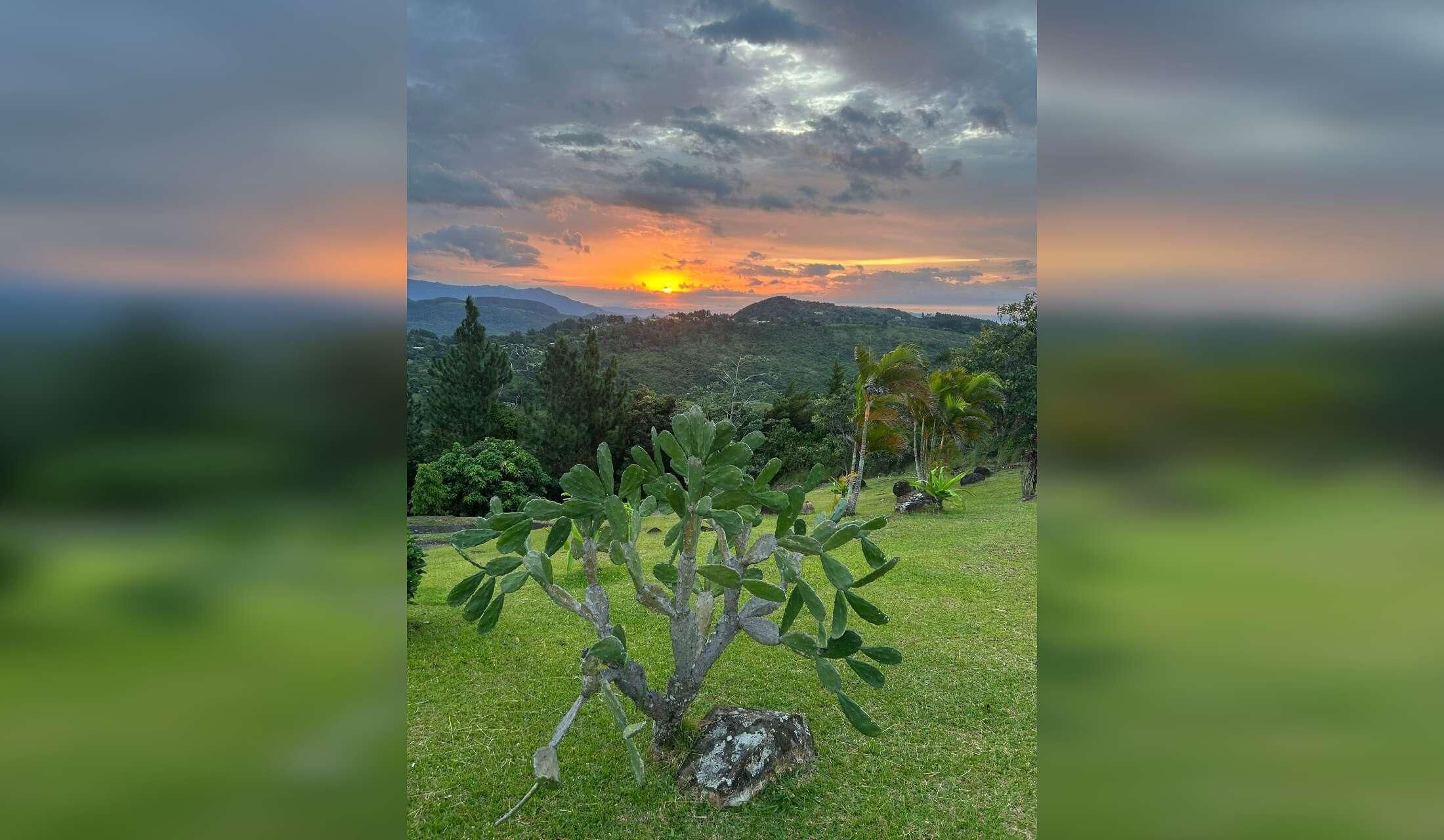 Panamanian Mountain Paradise - Image 2