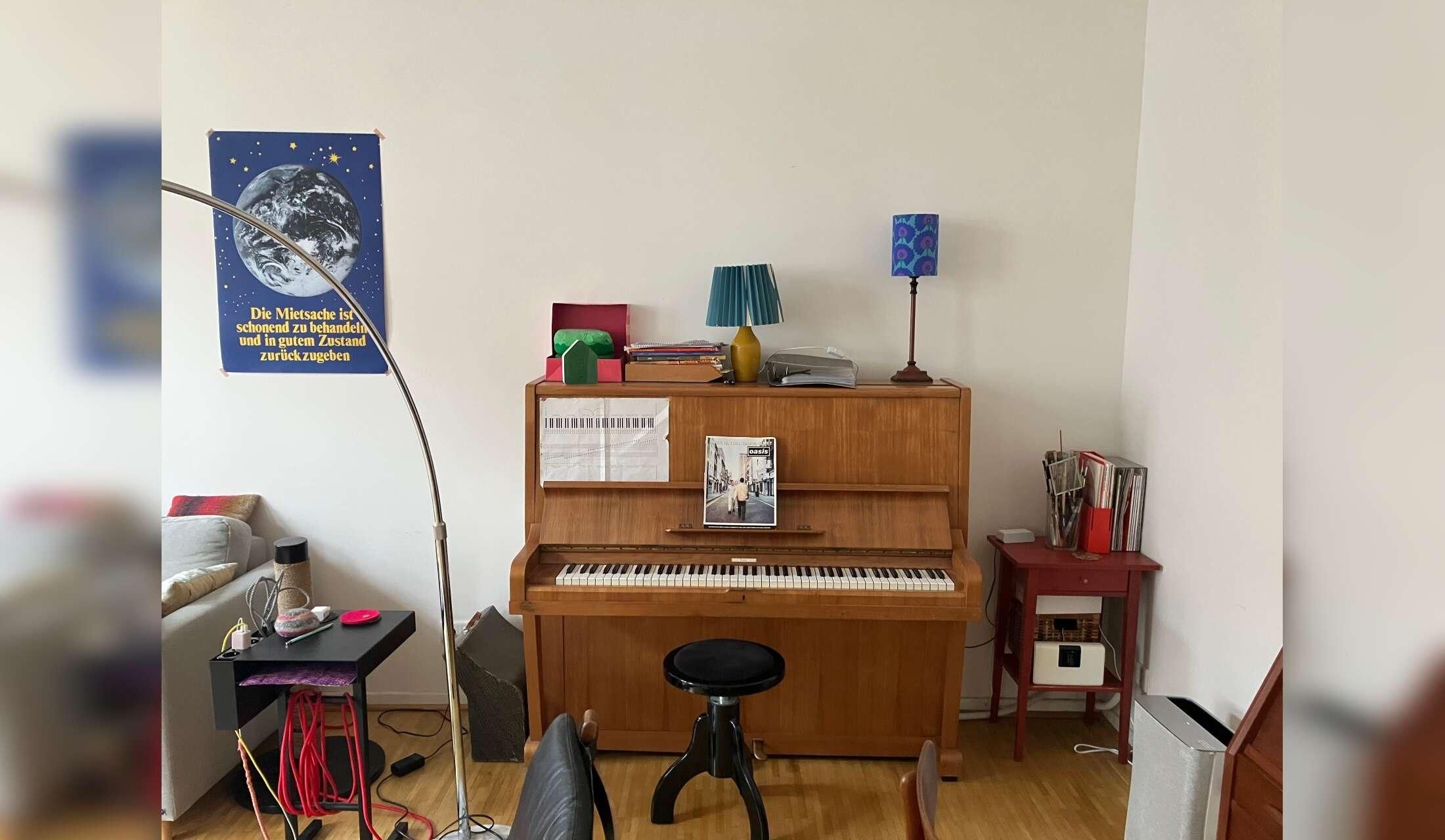 Three friendly indoor cats in spacious flat in Germany - Image 8