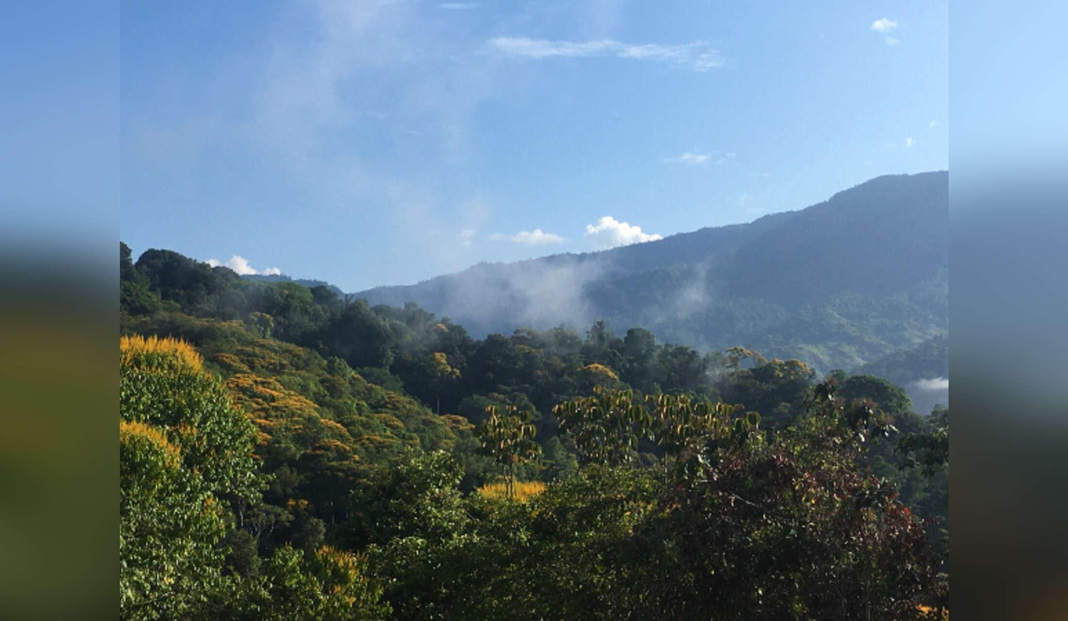 Tropical Paradise with Private Waterfall & Infinity Pool ? Dog Lovers Wanted! ?? - Image 3