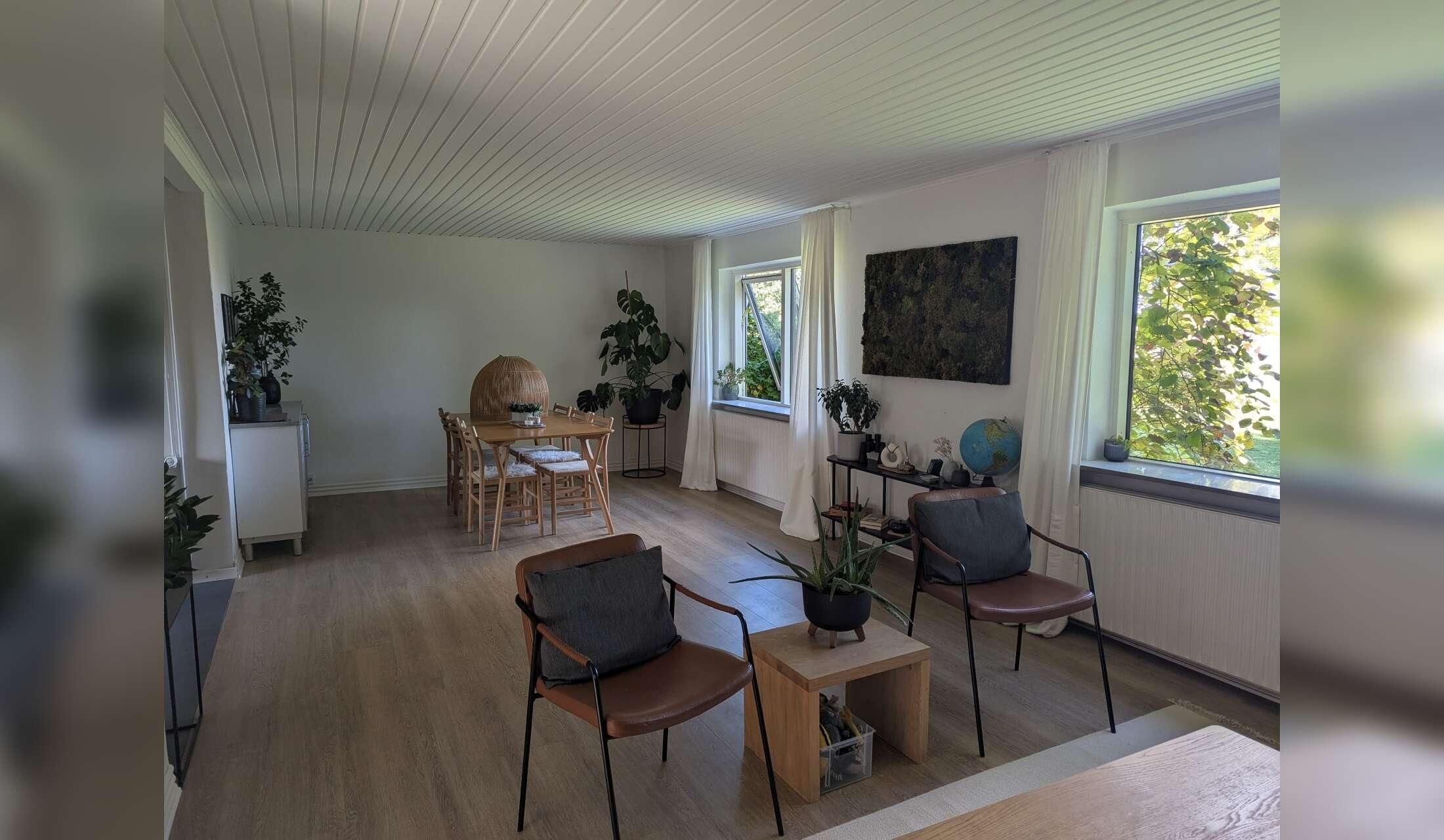 Cat Sitters Wanted - 1 week in November (rural Denmark) - Image 4