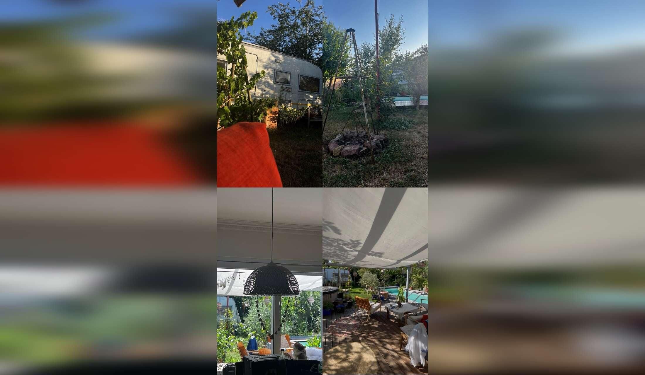 Suchen eine/n Haussitter/In der/die auf unser Grundstück, unsere Katzen und Geckos aufpasst! - Image 5