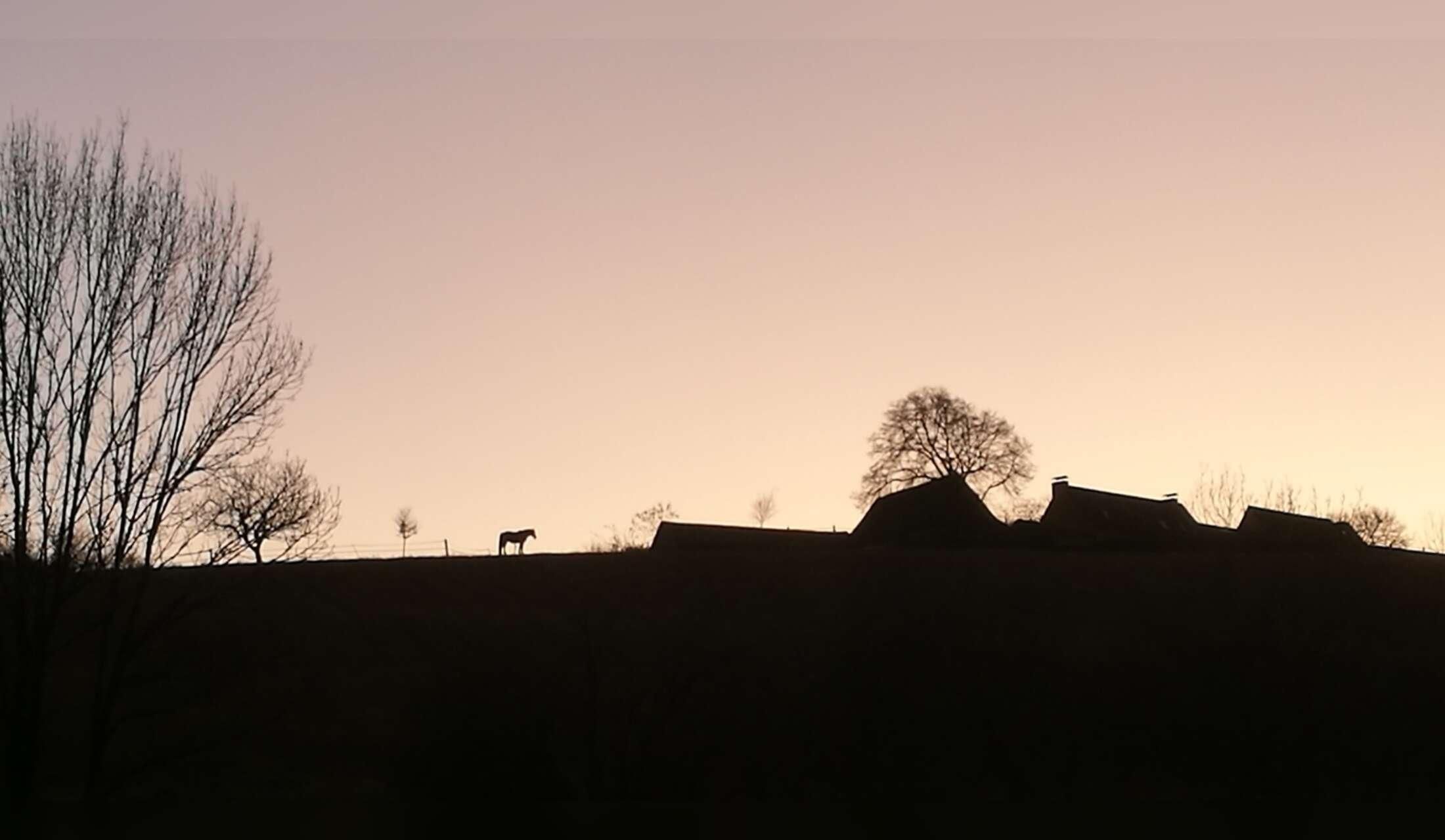 For 1 or 2 people who love horses and dogs and speak French (at least one of you) - Image 2