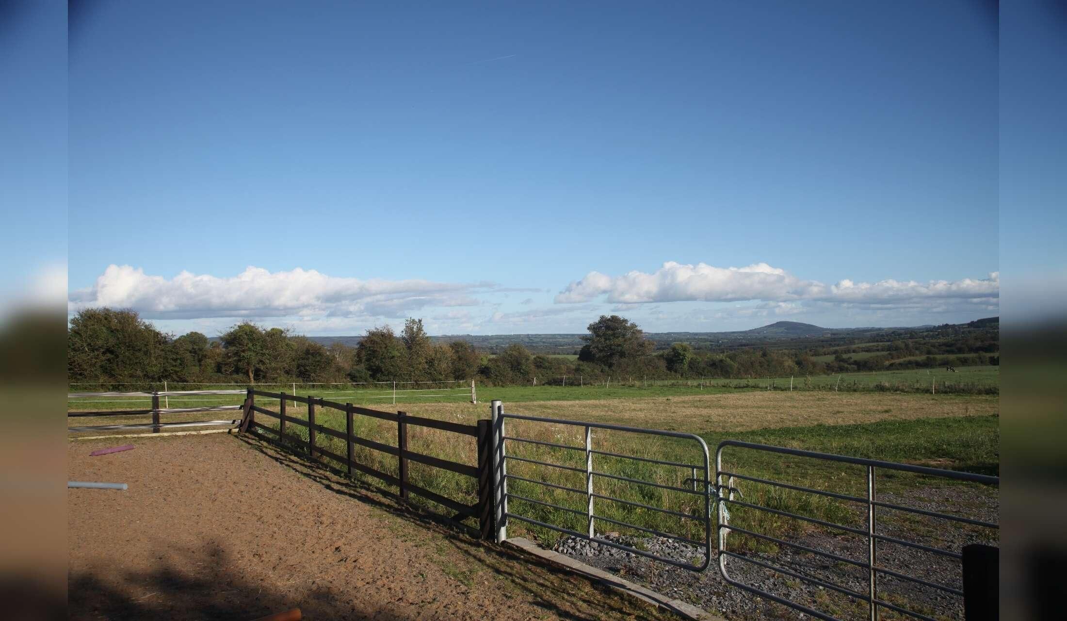 Beautiful Quiet, Rural, Multi-Animal Pet Sit Over Christmas in South Kilkenny - Image 3