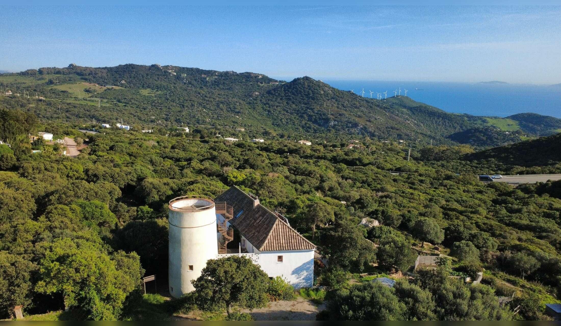 Dog & three cats – rural house sit near Tarifa, long stay for nature lovers - Image 2