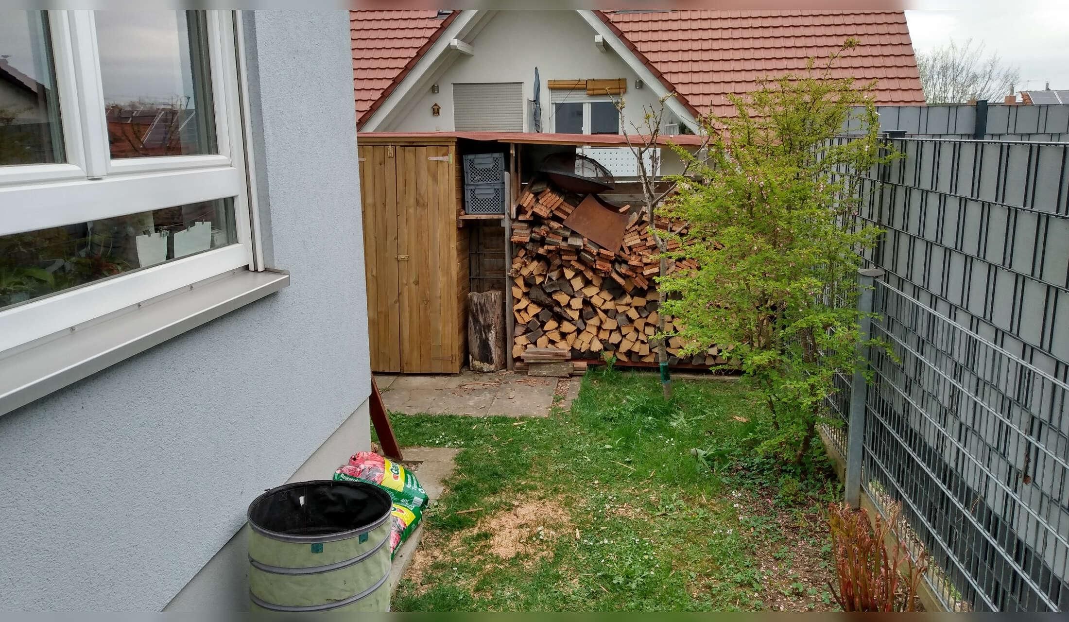 Housesitter wanted for 1 week in January '27 in Southern Germany - Image 6