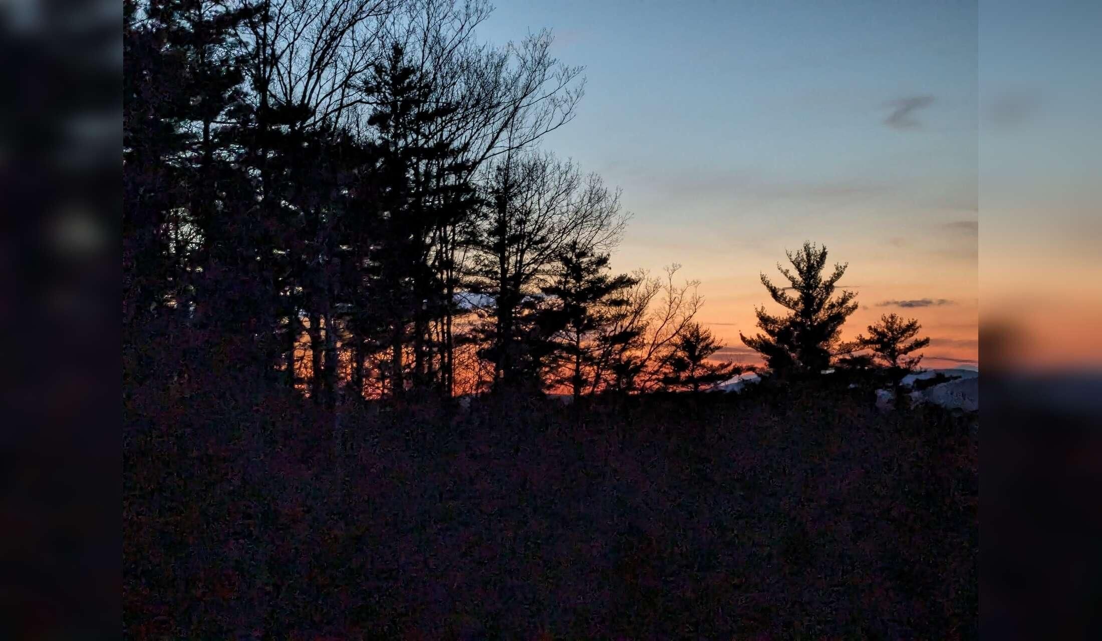 Lake Sunapee dog sitter needed! - Image 2