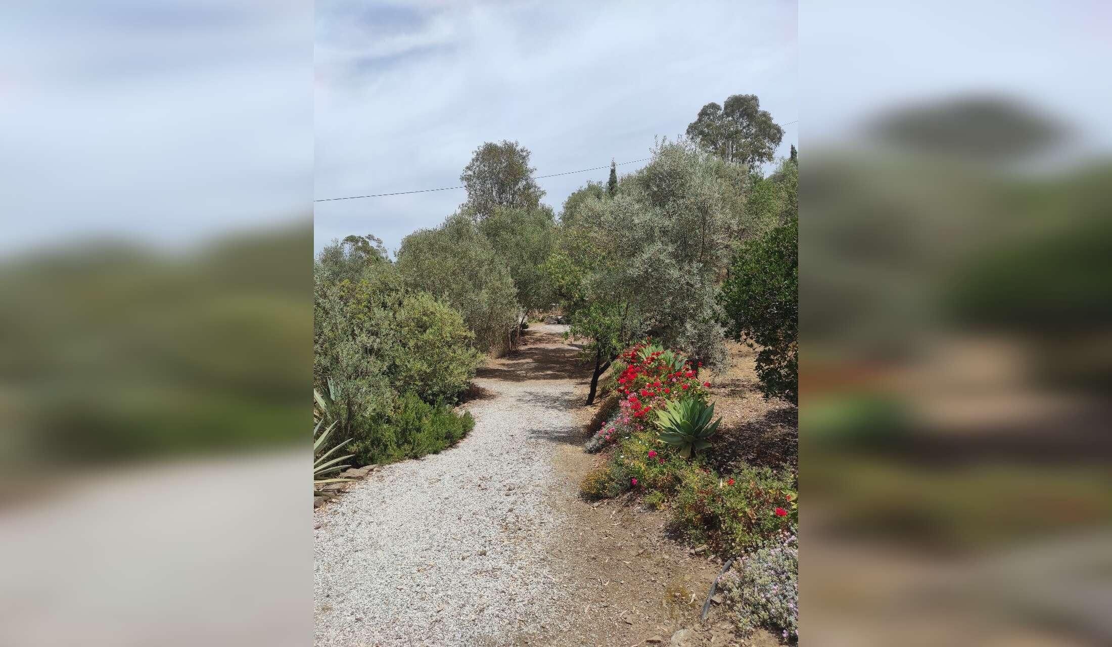 Private hillside 2 acre house 20 minutes from the sea and Tejeda National Park in southern Spain - Image 5