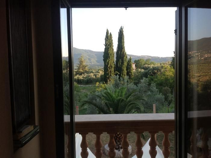 Villa in olive grove near Rome - Image 9
