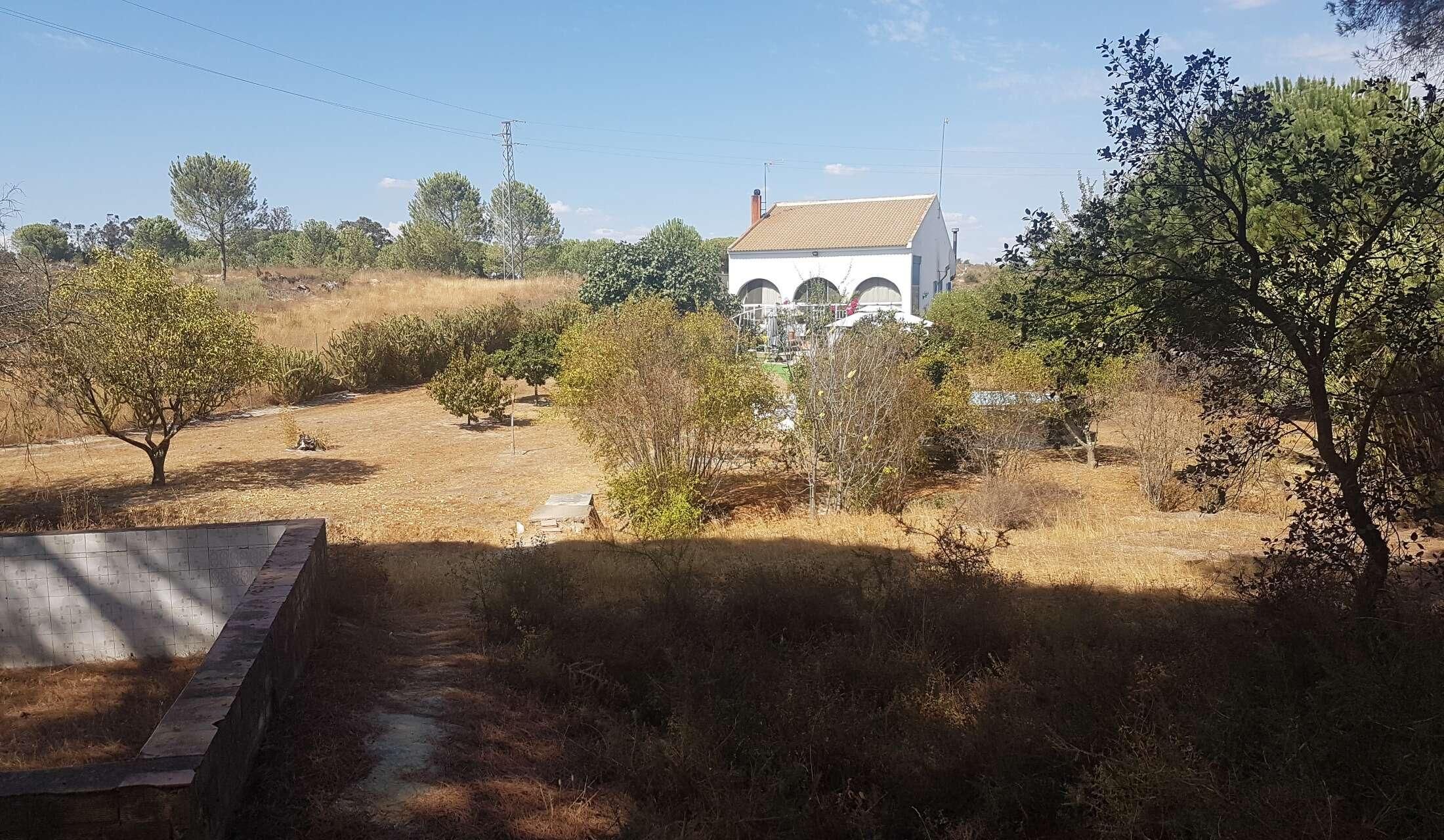 Spanish Villa in rual Spain - Image 8