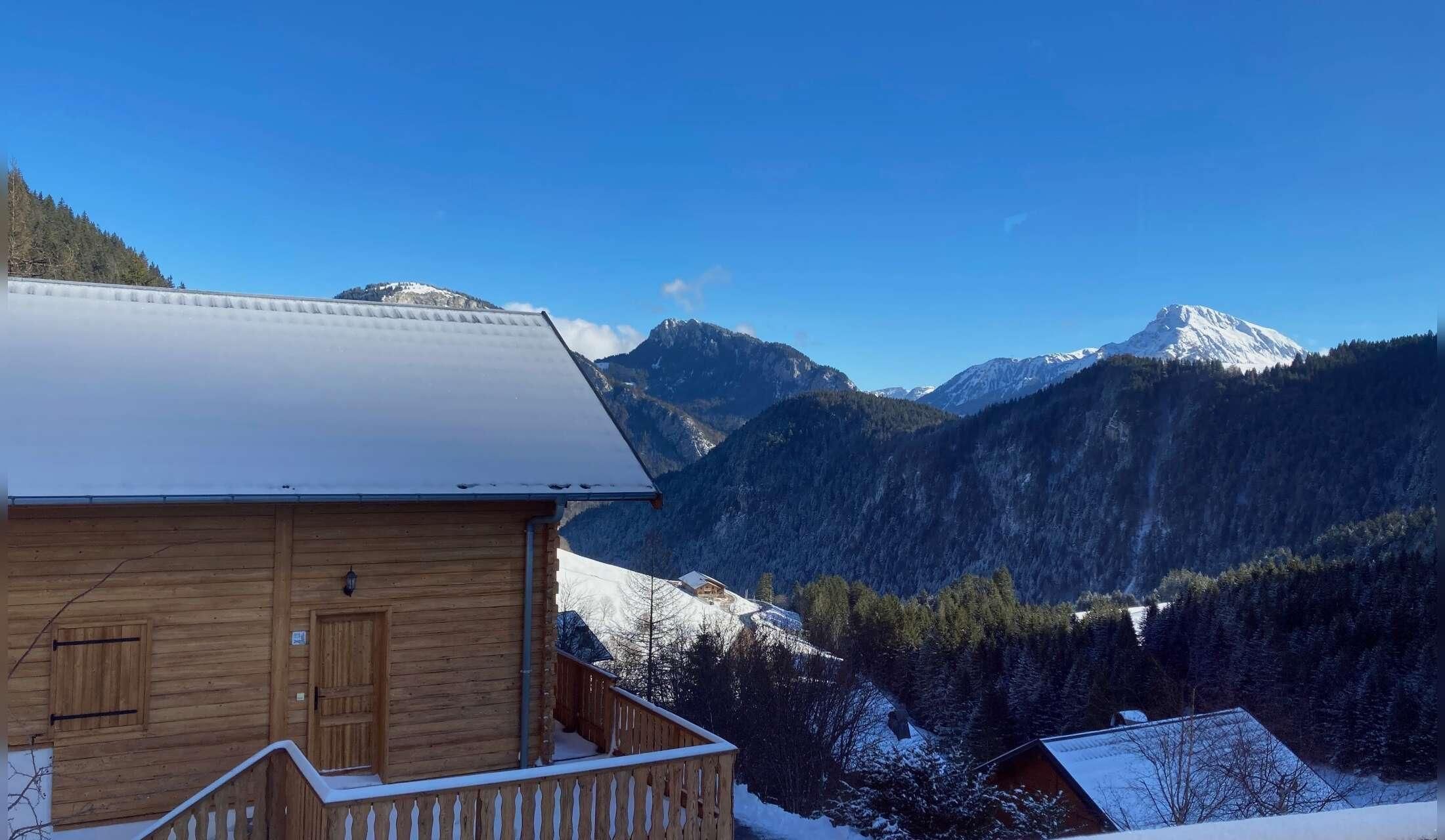 Cat and house sitter needed in a village in the French Alps - Image 7