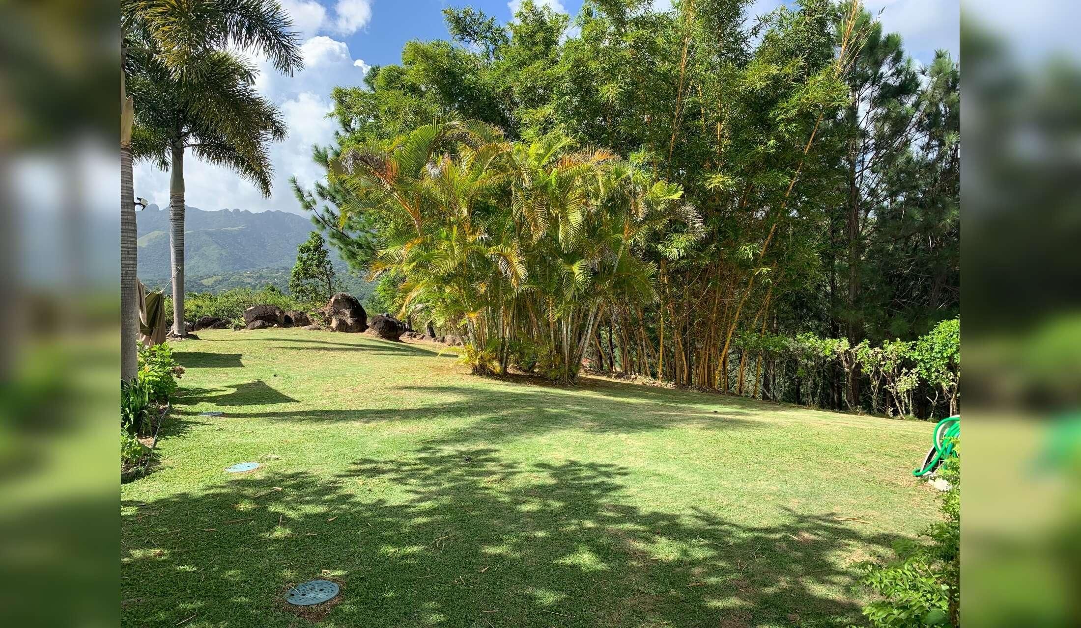 Panamanian Mountain Paradise - Image 9