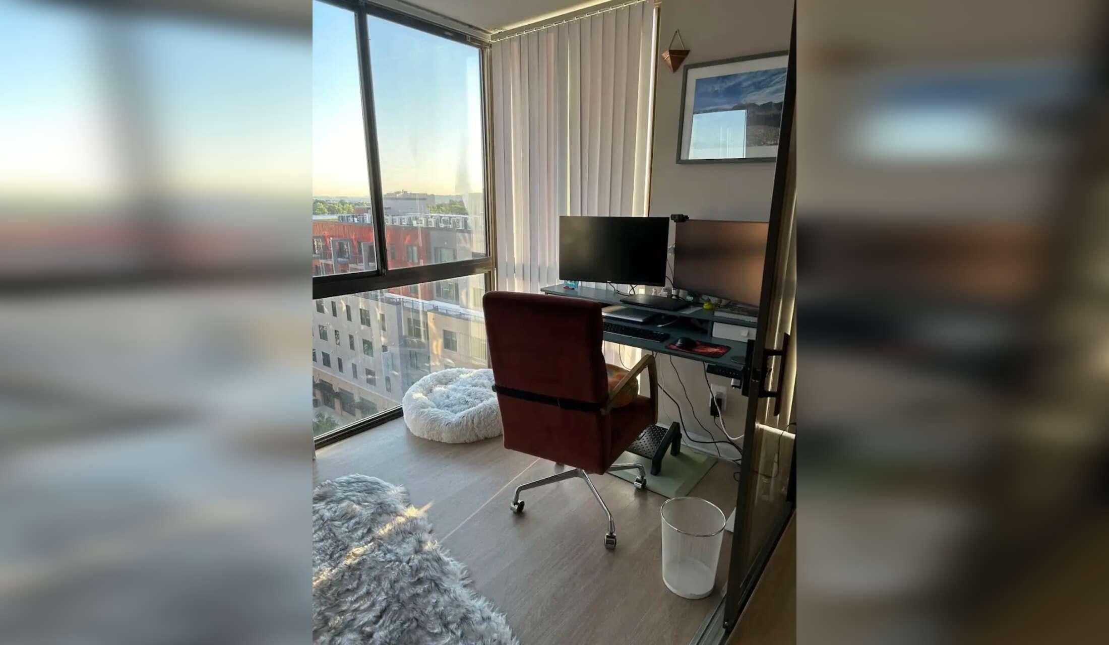 Easy DC living with loving pups! Remote work friendly and no car needed :) - Image 5