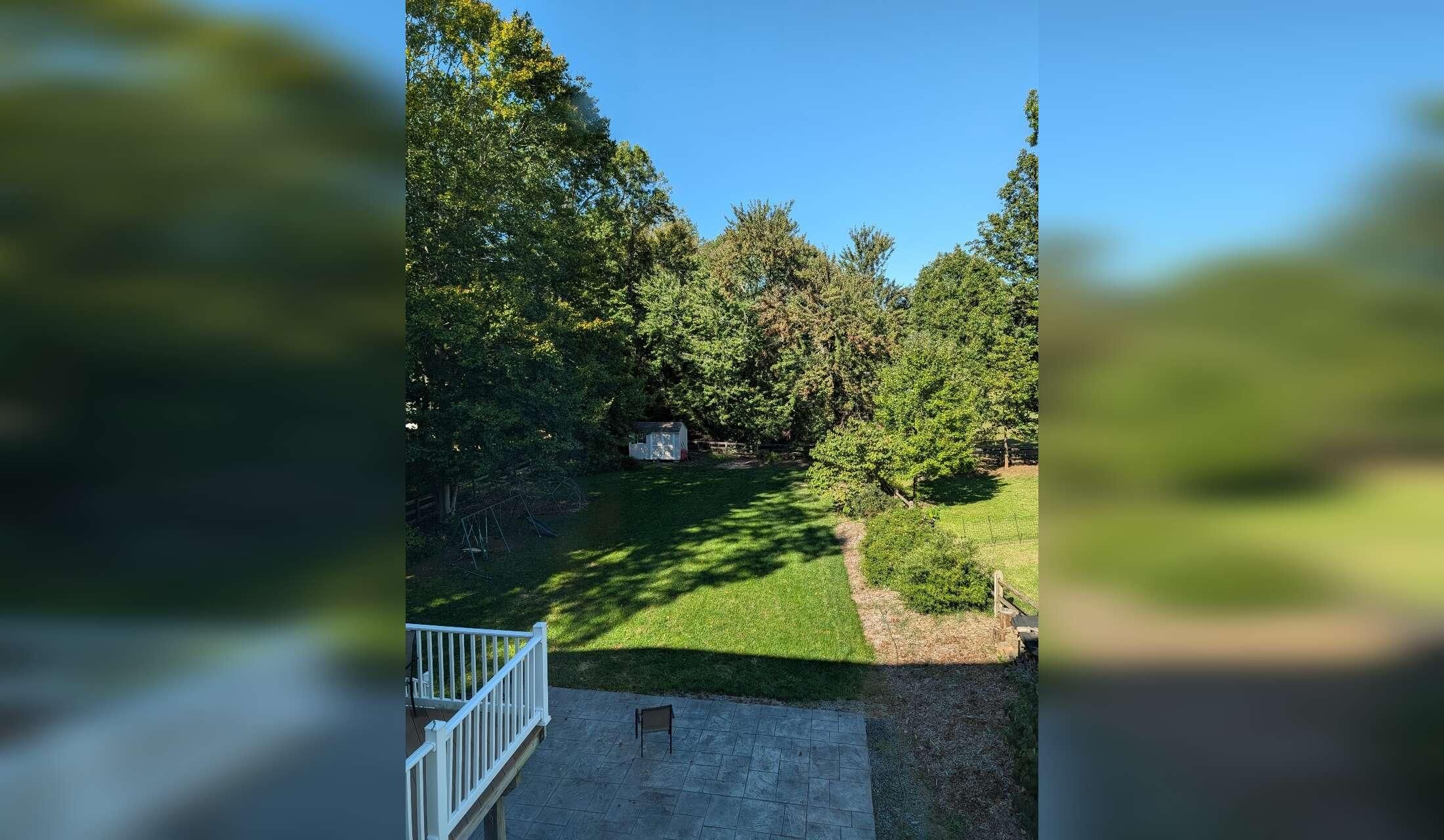 Beautiful, Very Clean Home in a Lovely Charlottesville Neighborhood - Image 2