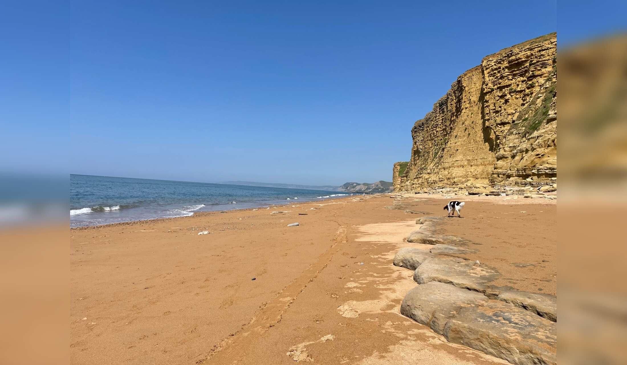 Come and visit a beautiful part of England, where Merlot and Shiraz have moved to from France! - Image 5