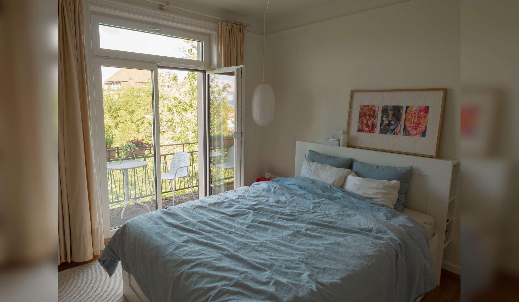 Lovely Persian cat in beautiful and central Zurich apartment - Image 4