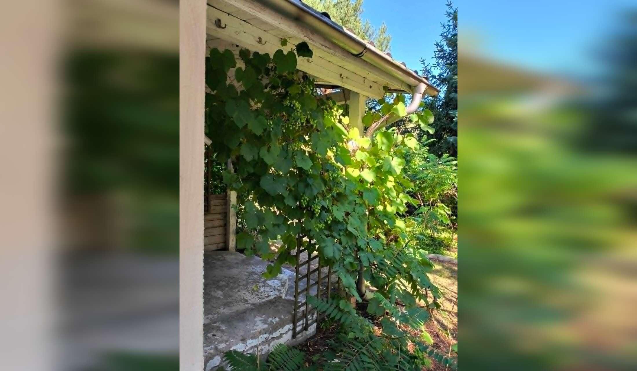 House sitter wanted for this charming house in Poland's Masurian district - Image 7