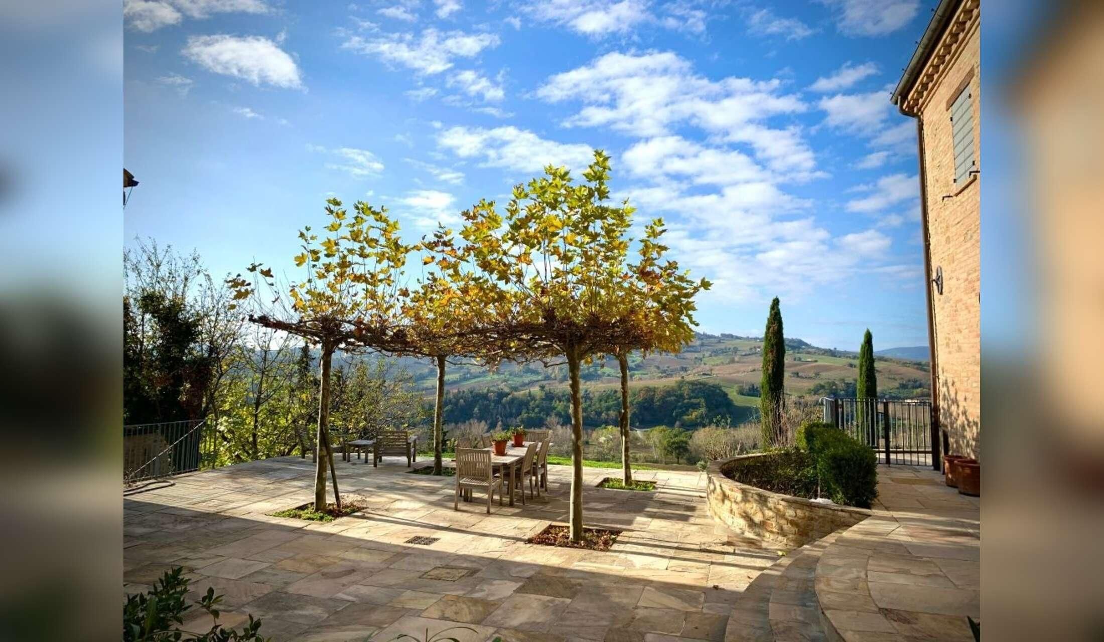 Looking for Italy lovers who like to look after our Countryhouse and 3 cats - Image 7
