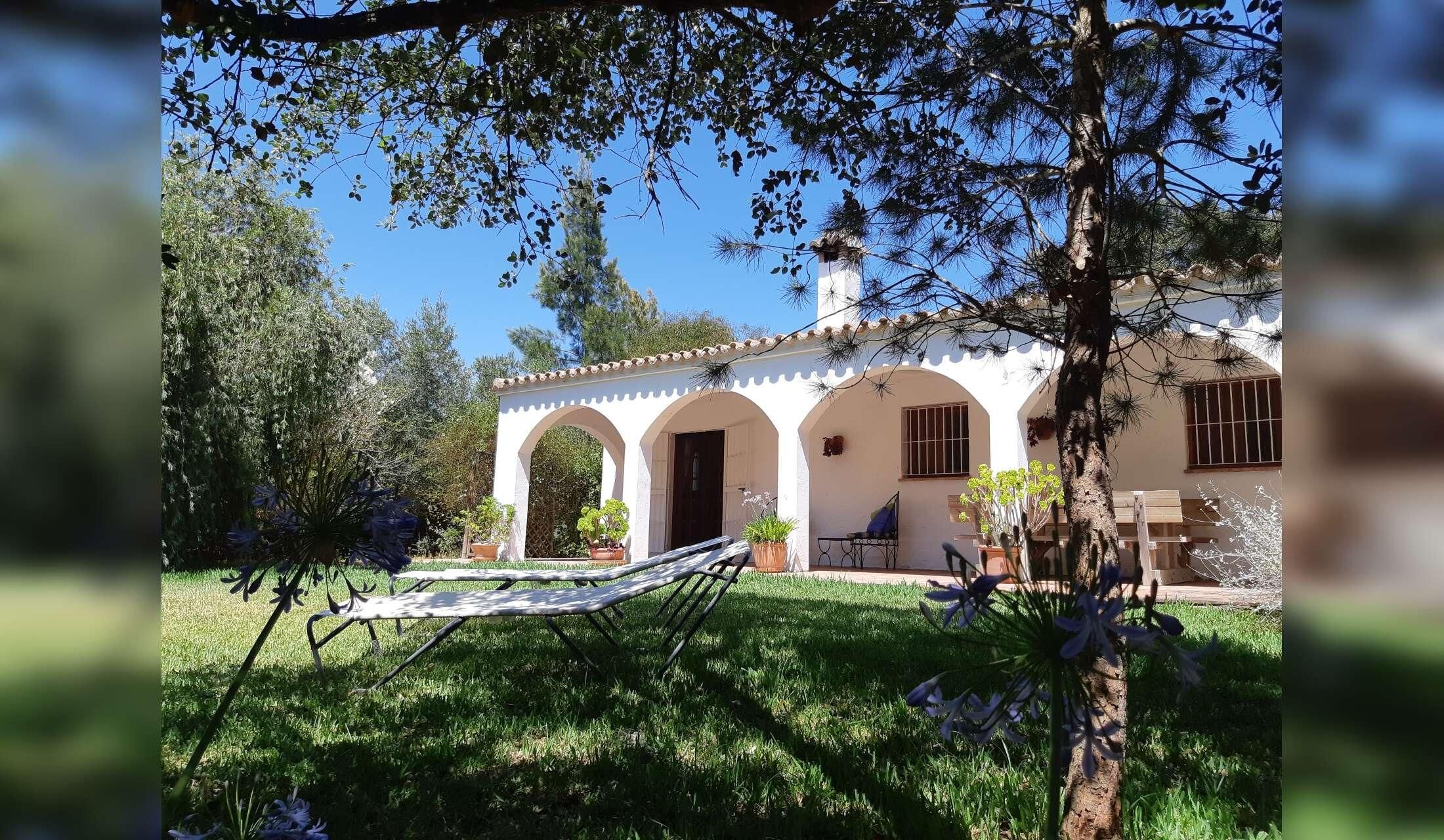 2 adults for 2 months to care for Spanish finca with cats
