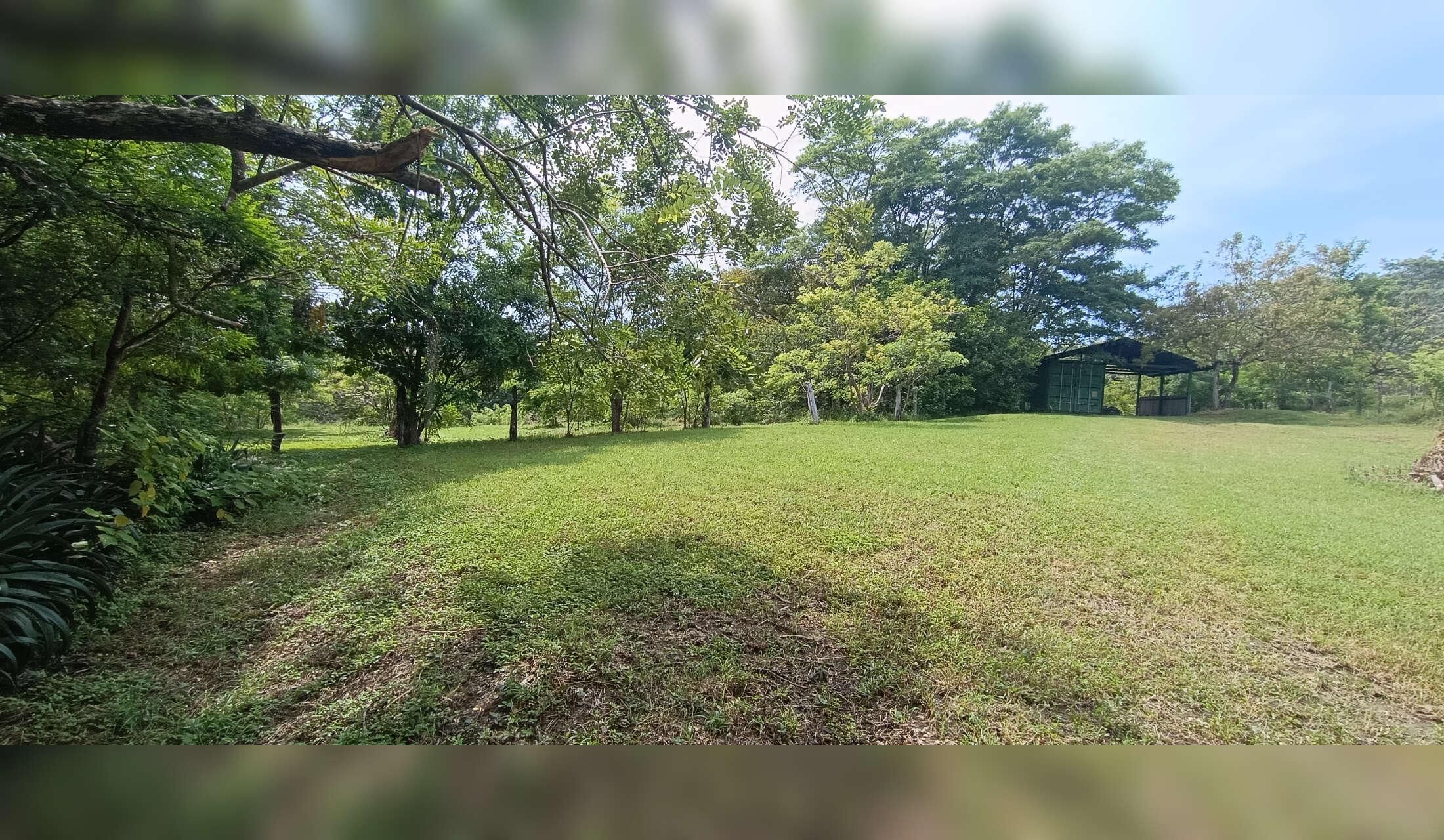 House in a finca surrounded by wild animals - Image 3