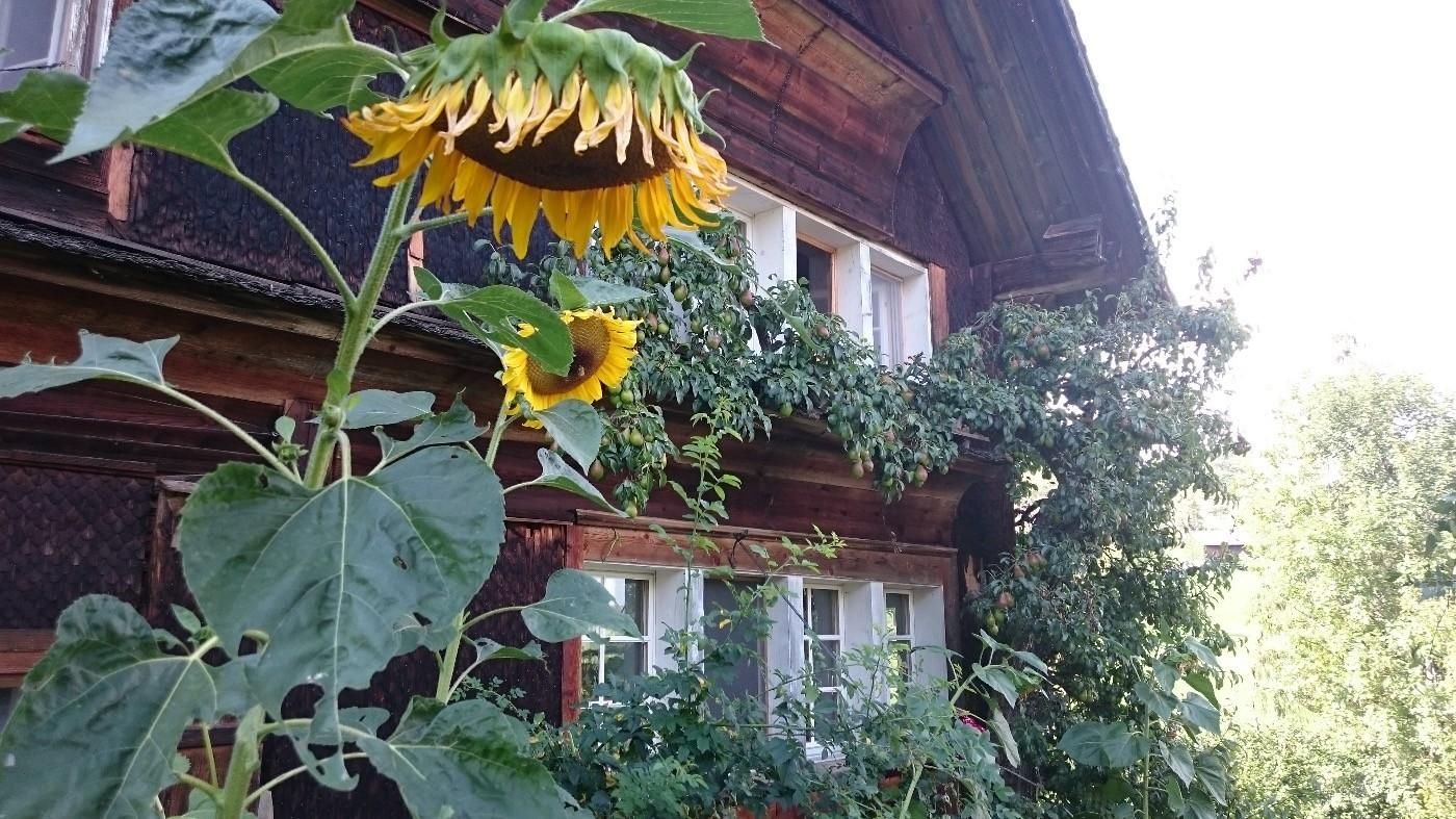 CHARMING FARM HOUSE & CAT SIT, Oct 28, 2026 to Mai 8, 2027 - Image 7