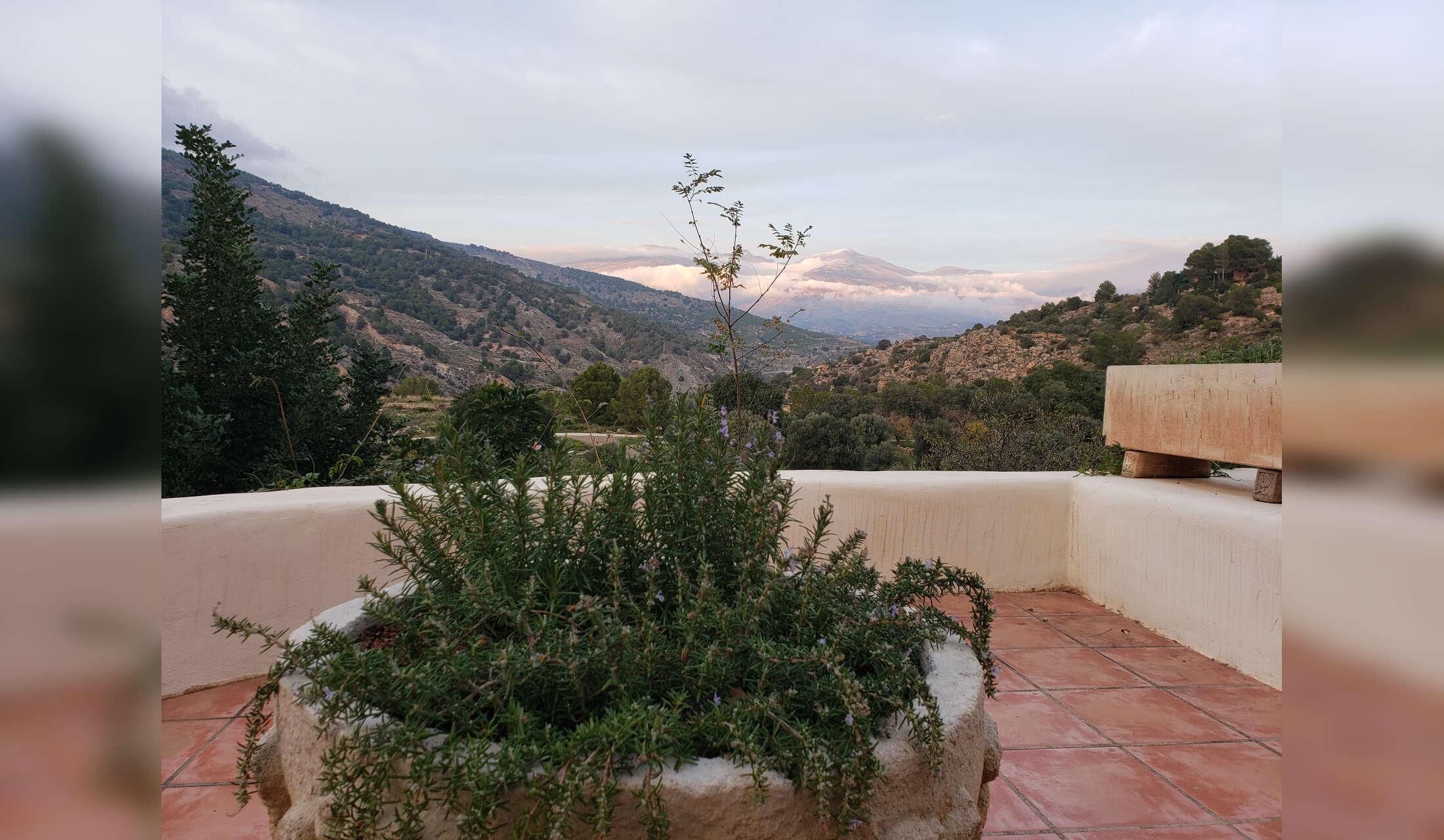 Country house in Andalusia - animal lovers only - Image 8