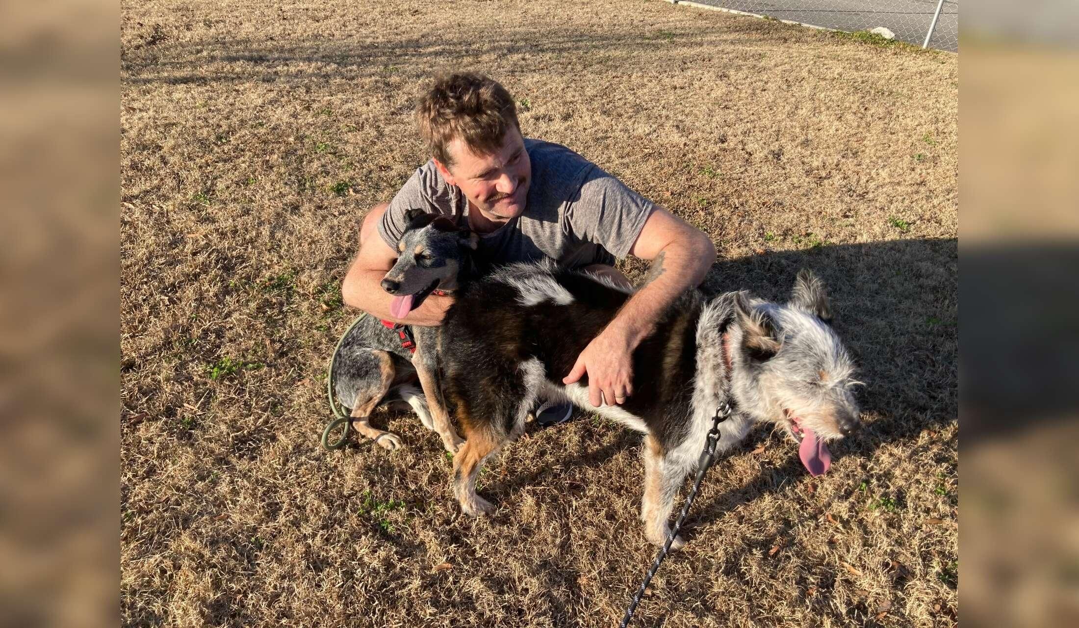 Looking for a house/pet sitter for the week of Thanksgiving 2026 - Image 2