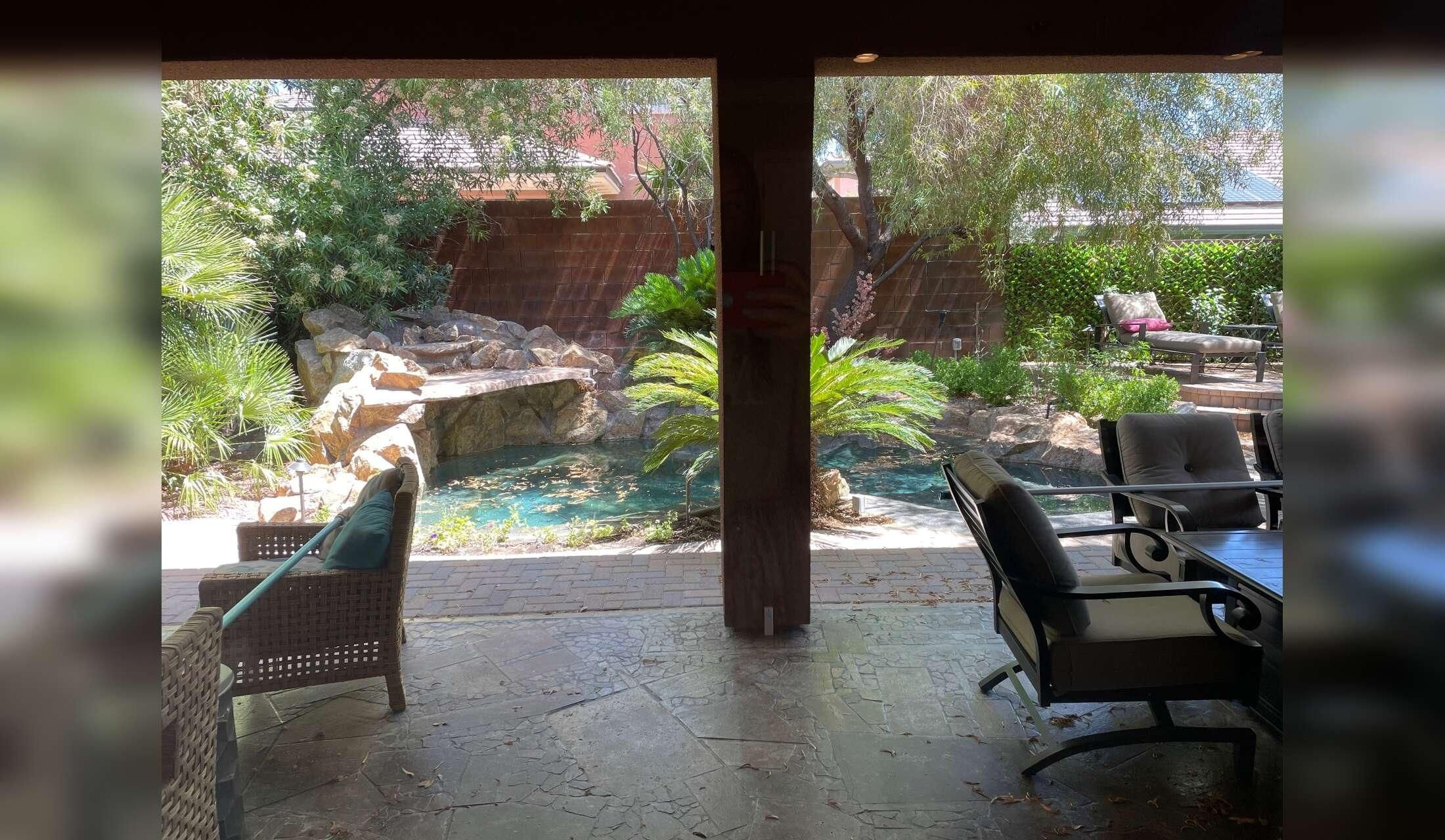 Great NW *(Summerlin area of Las Vegas) house w/sweet Golden Retrievers needs Dogsitter - Image 2