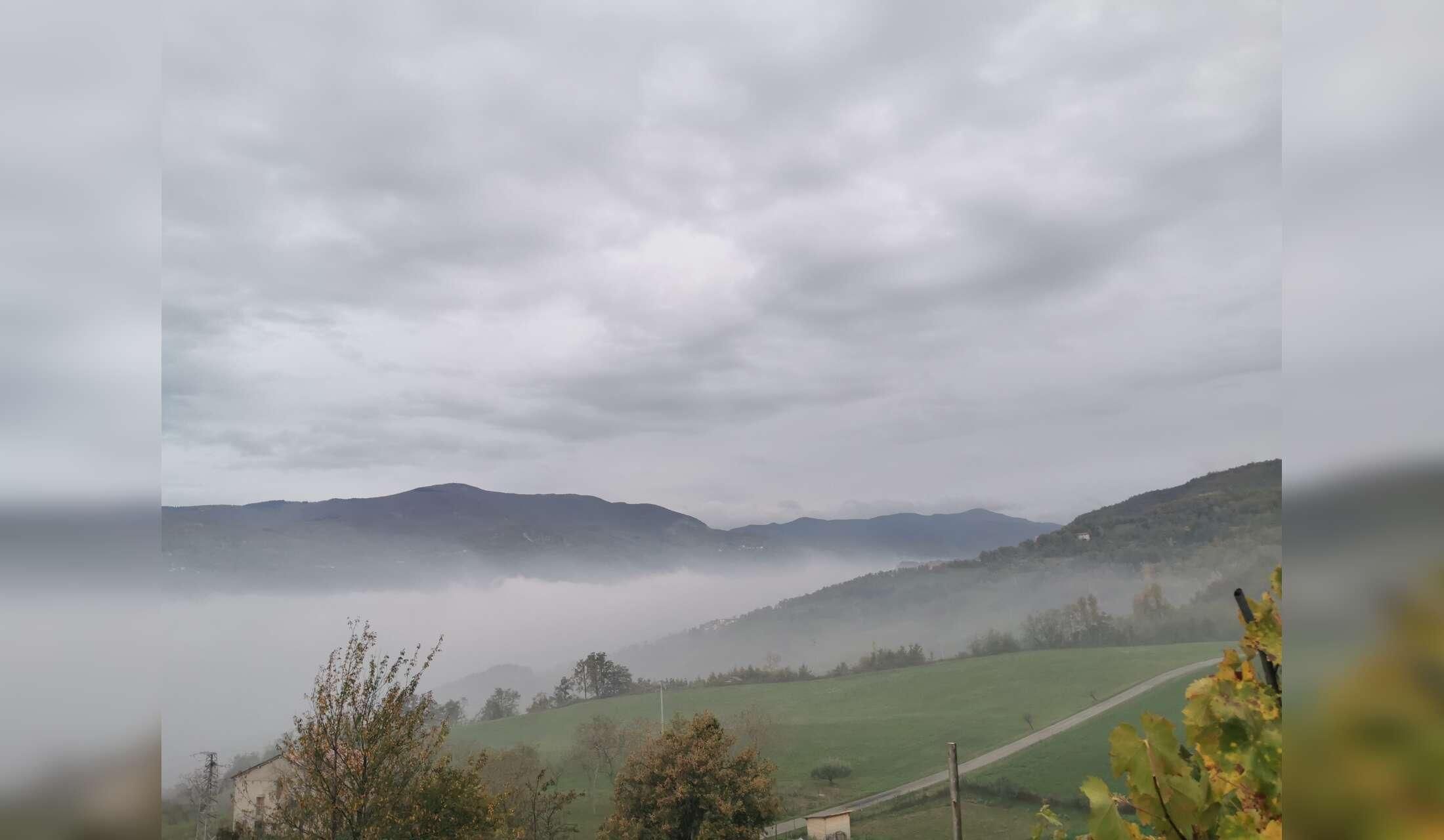 Cercasi custodi per casa nel bosco sul fiume al confine tra Emilia Romagna e Toscana - Image 4