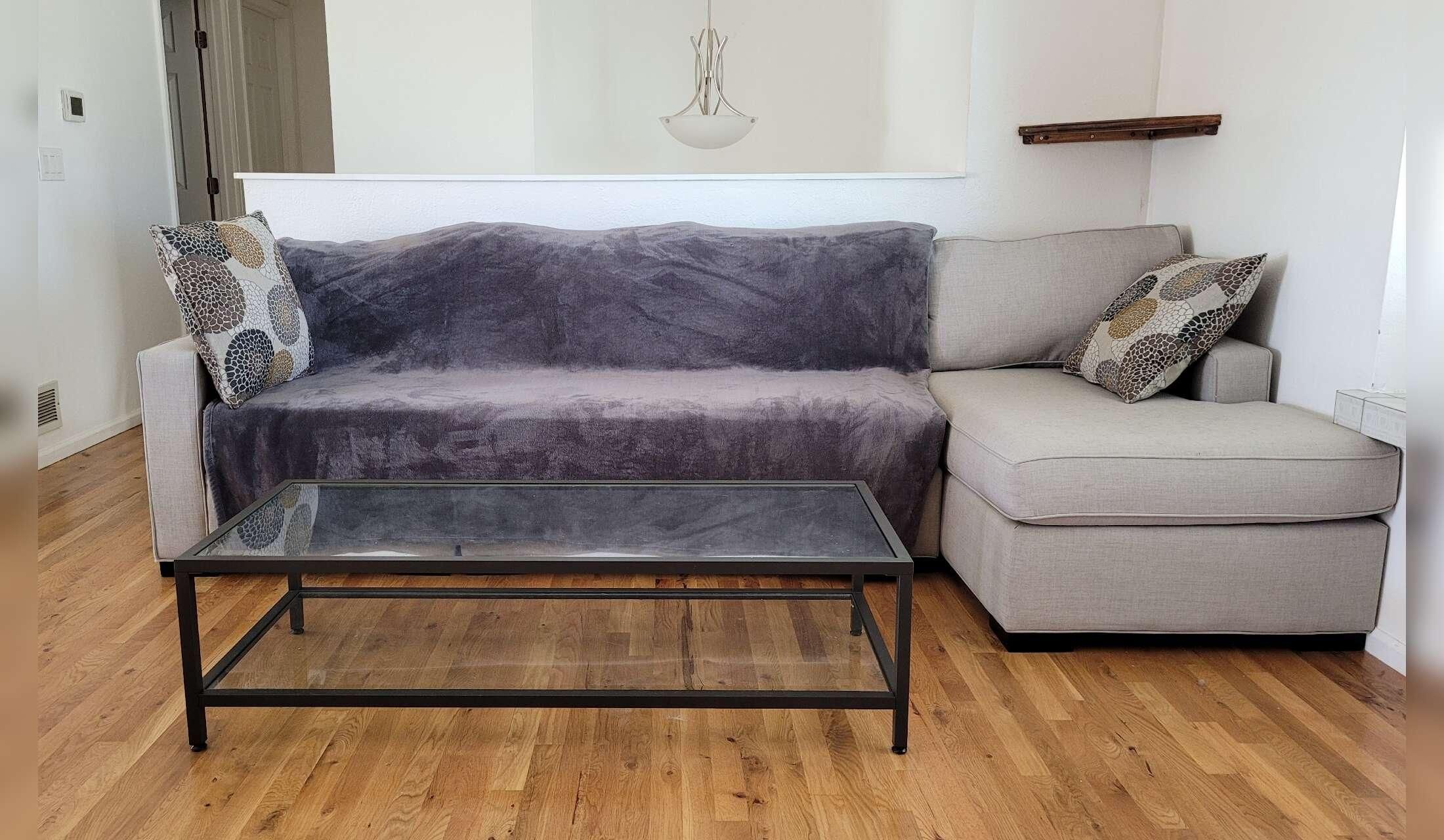 Looking for a house and cat sitter - Image 4