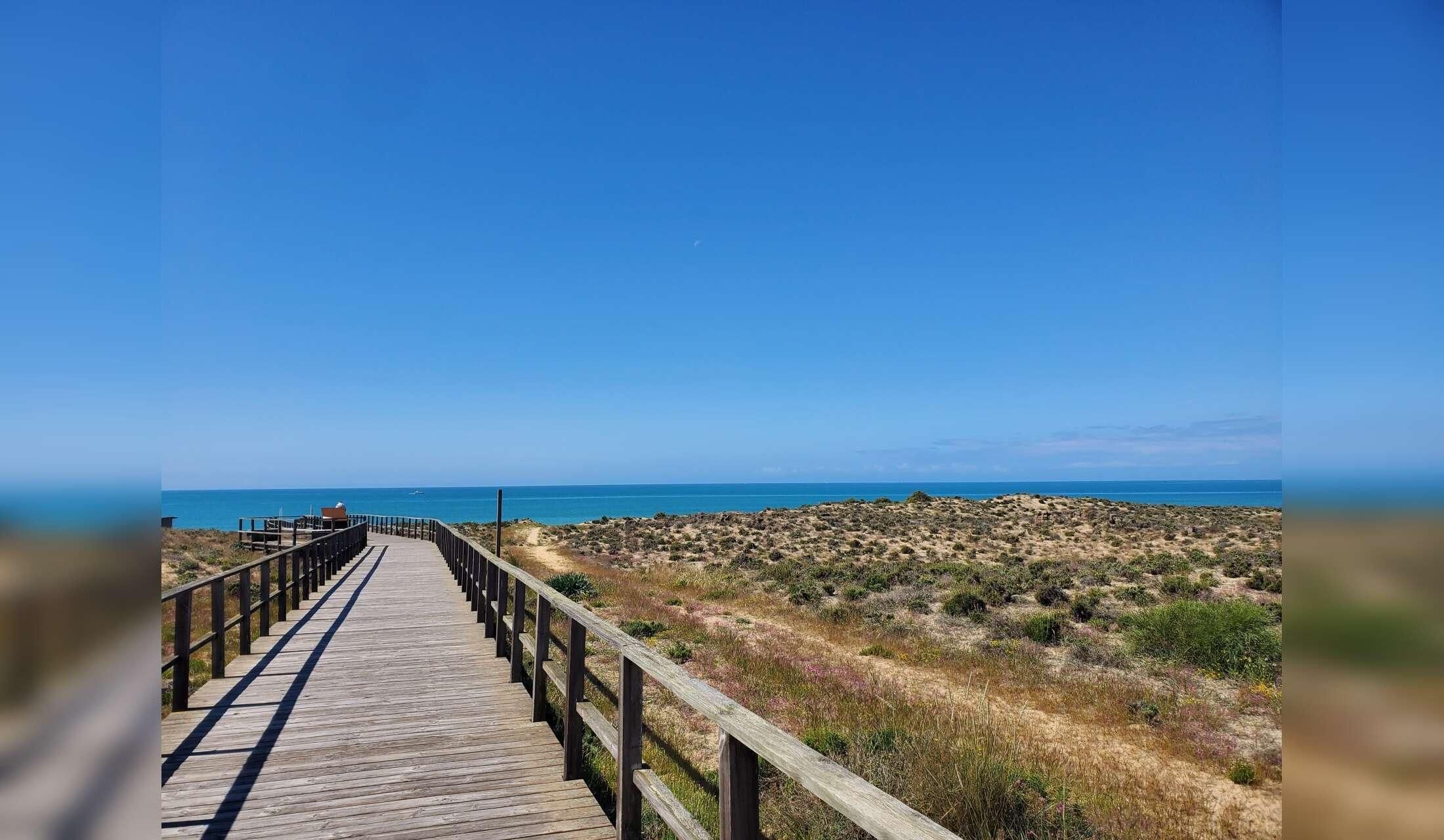 Cat sitting in the central Algarve 3km from the beach