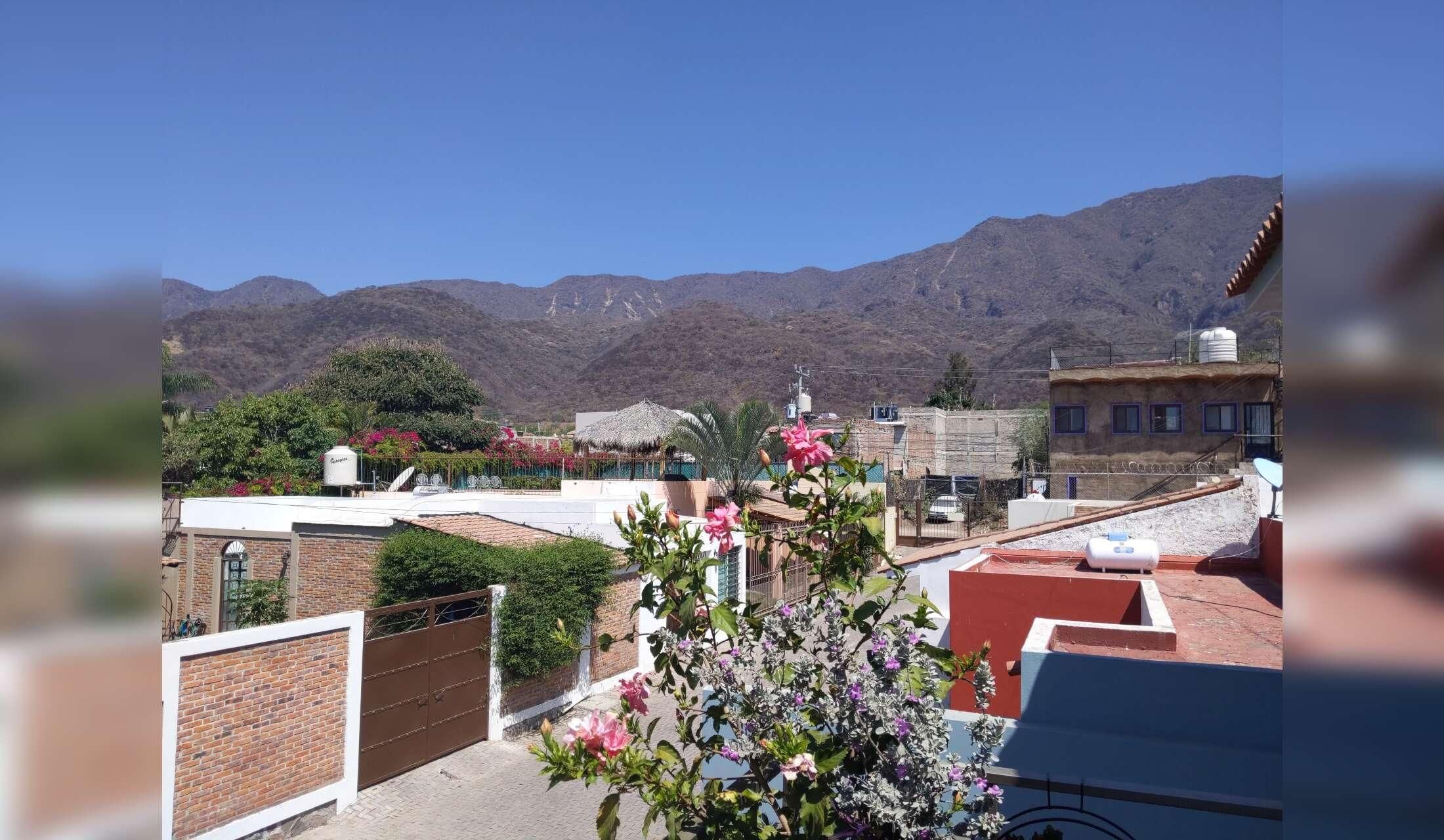Ajijic, Mexico Apartment - Care for Cat, Potted Plants and Hummingbirds - Image 9