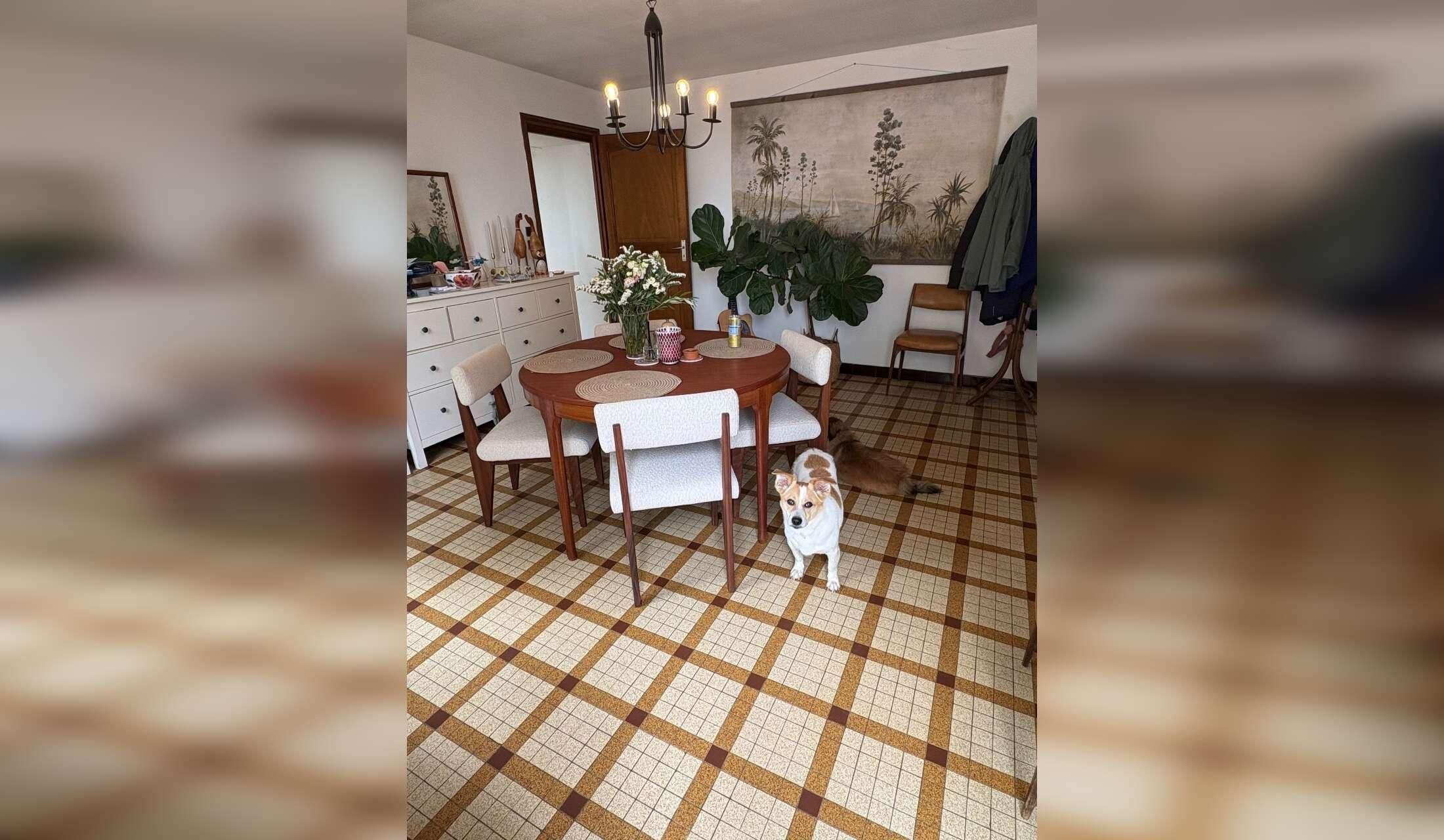 Enjoy the peace and quiet of the French countryside whilst looking after loving and well behaved dogs, a cat and a horse - Image 3