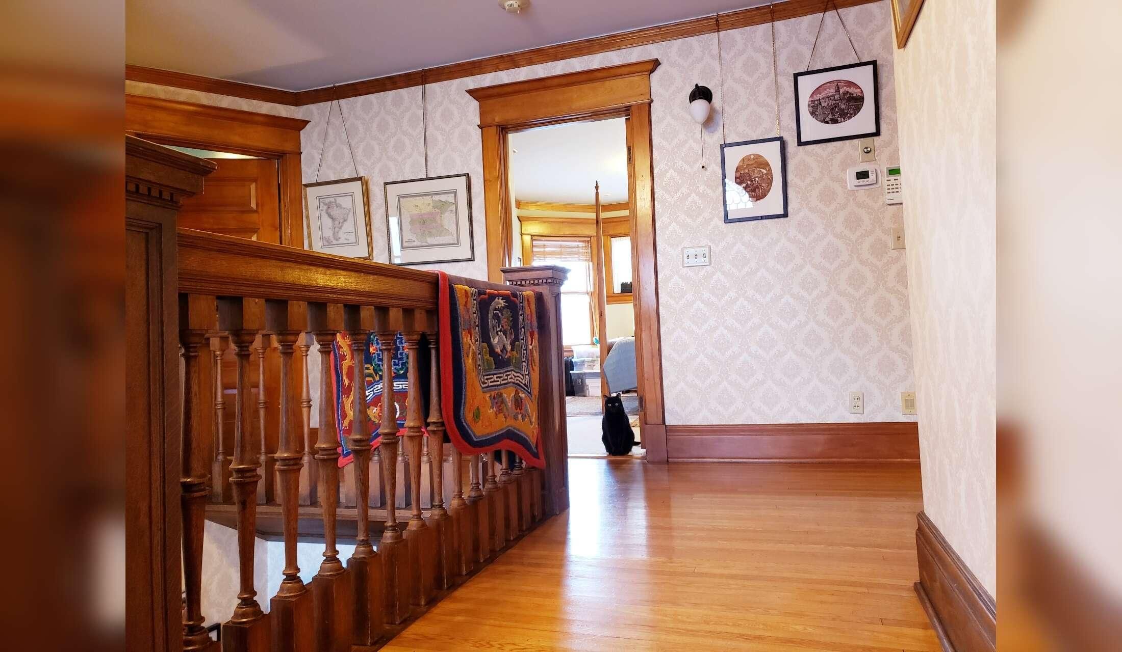 Victorian home with pets in quiet, leafy neighborhood in the city - Image 8