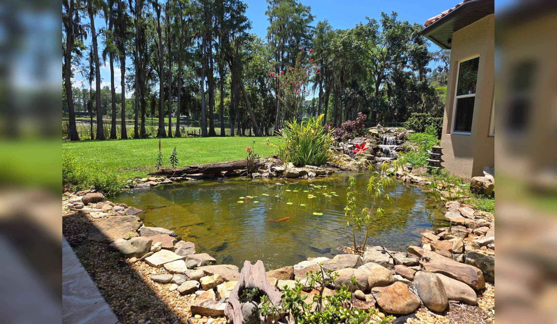 Beautiful Tampa Bay - Image 3
