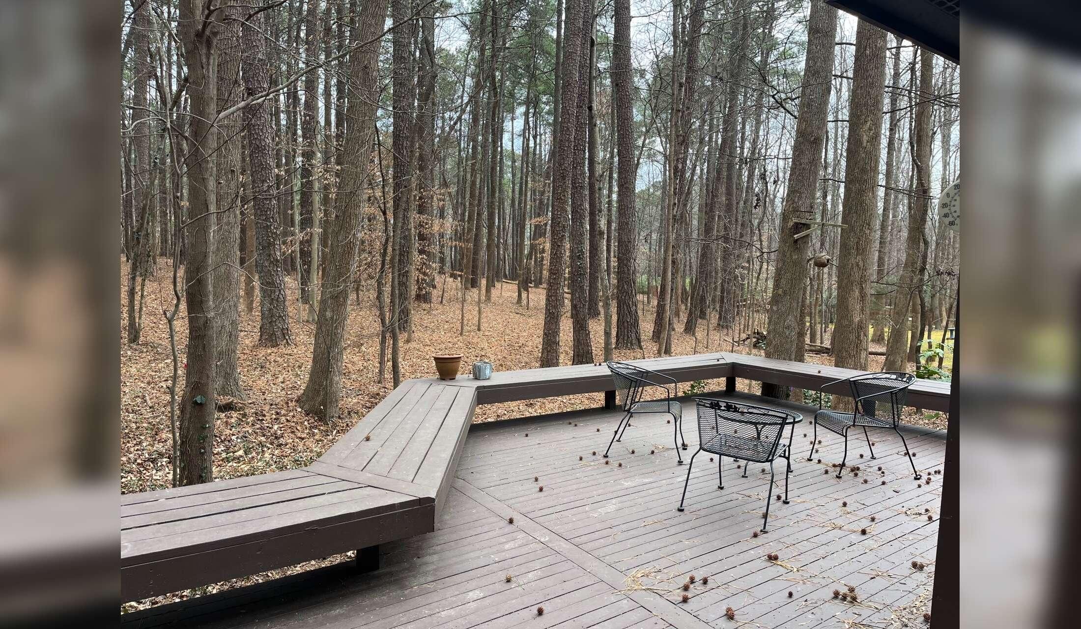 Need sitter for calm dog in Chapel Hill, North Carolina - Image 4