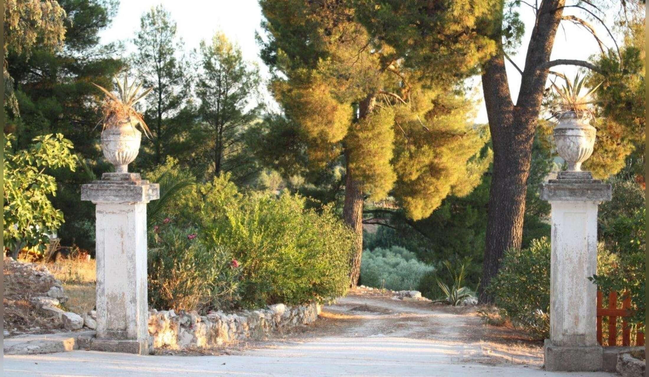 An old villa immersed in the National Park, 5’ from the sea - Image 2