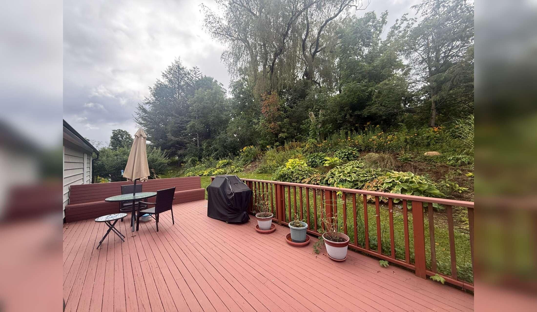Make the Berkshires Home — Beautiful House Sit January–July - Image 7