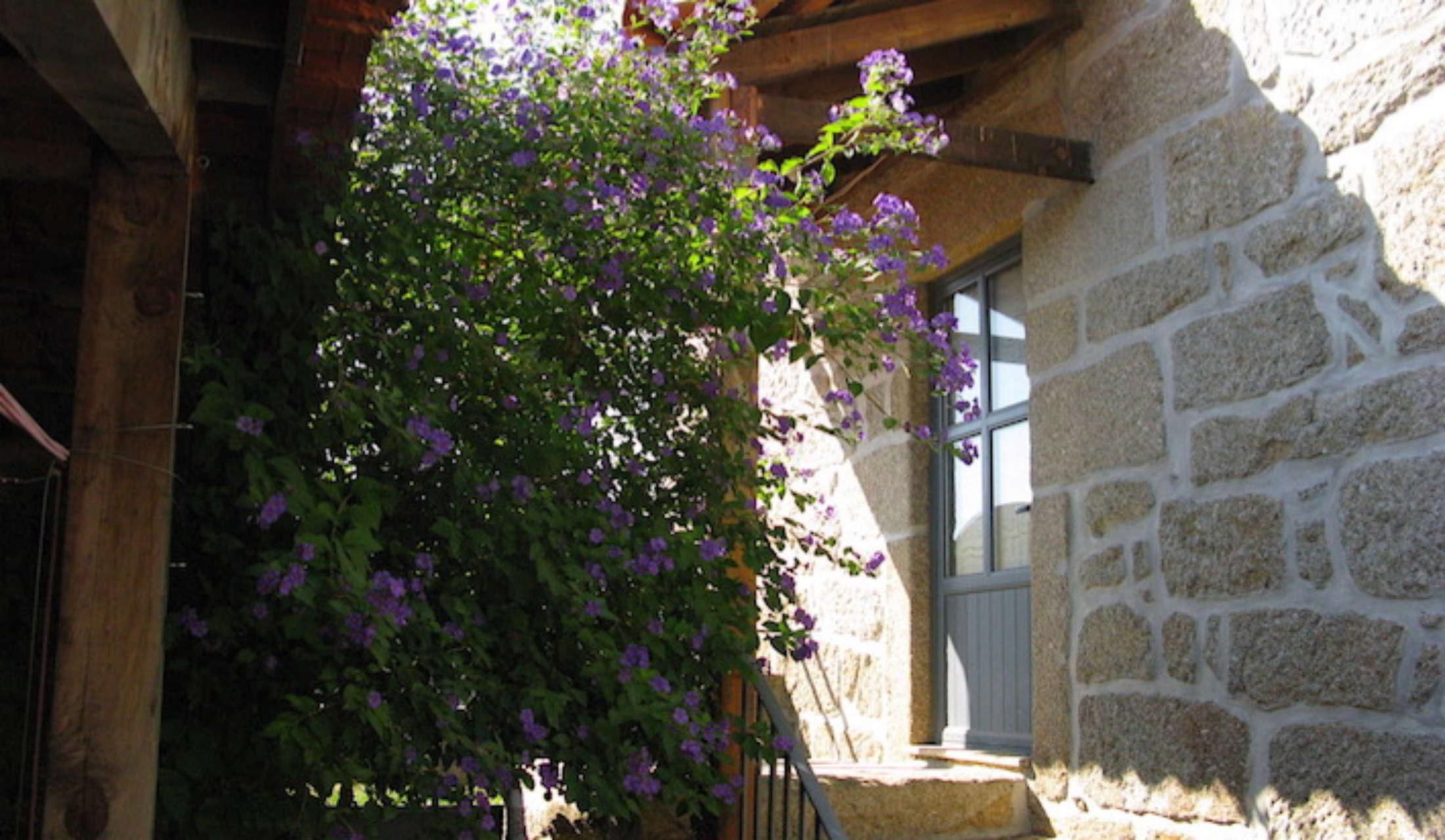 House in Central Portugal - Image 5