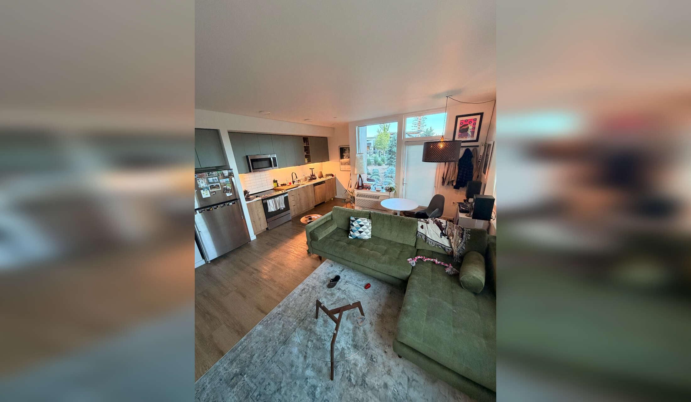 Cute Aussie in bright apartment on Bend's westside - Image 2