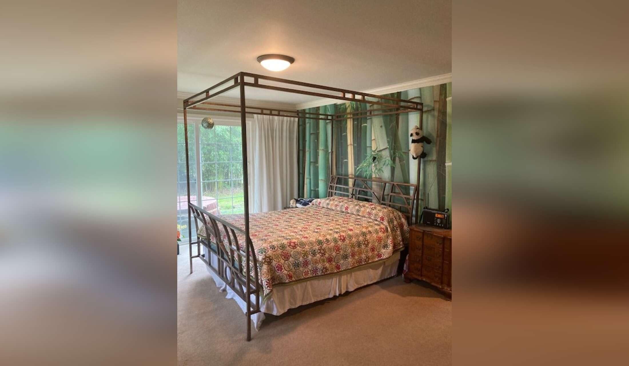 House & Pet Sitter Wanted Sonoma County CA - Image 3