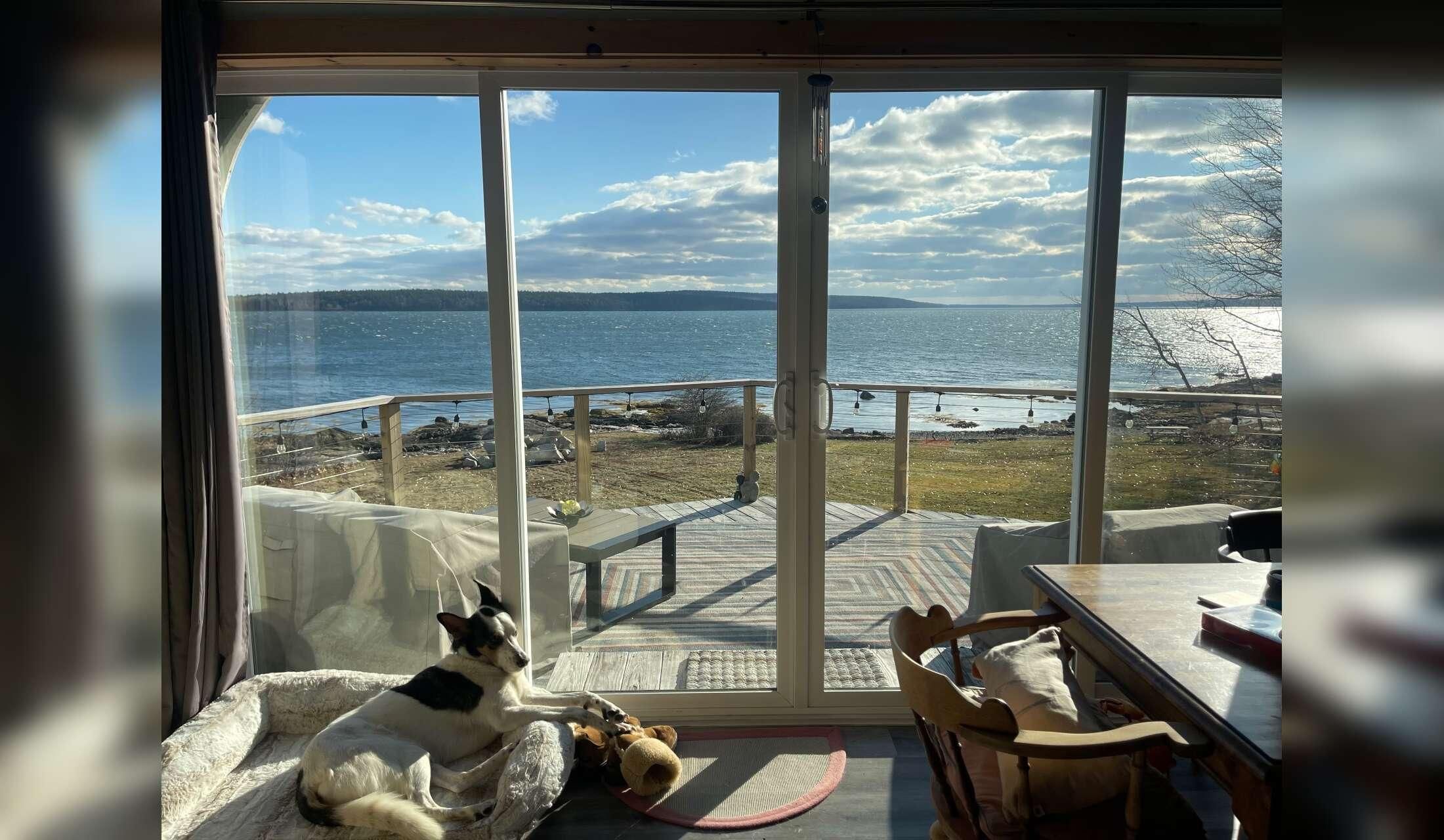Awesome Dog & bonus Oceanfront Maine listing near Acadia/Blue Hill Peninsula