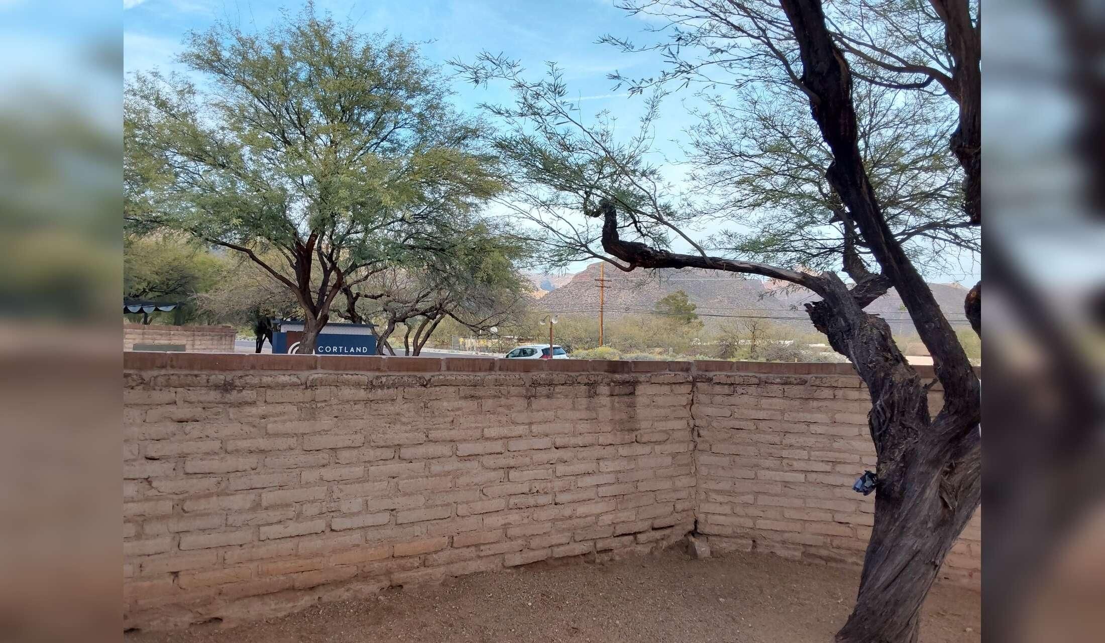 Housesit in Catalina Foothills,  Tucson, Arizona - Image 2