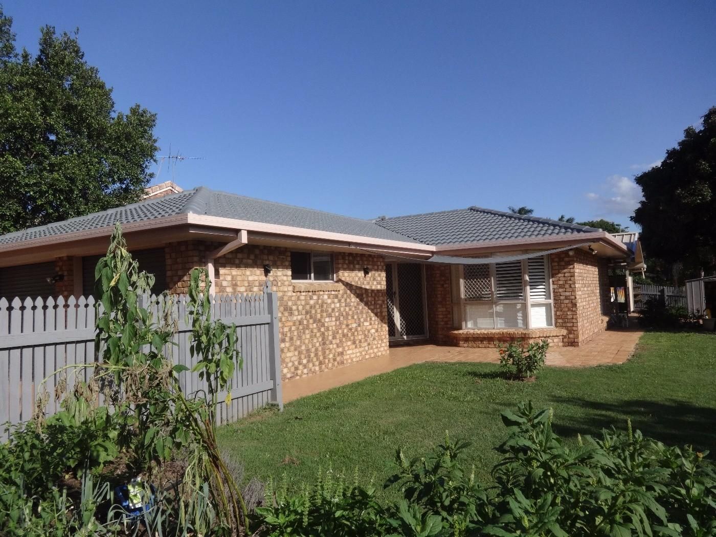 House sitters for Northern Brisbane required - Image 4