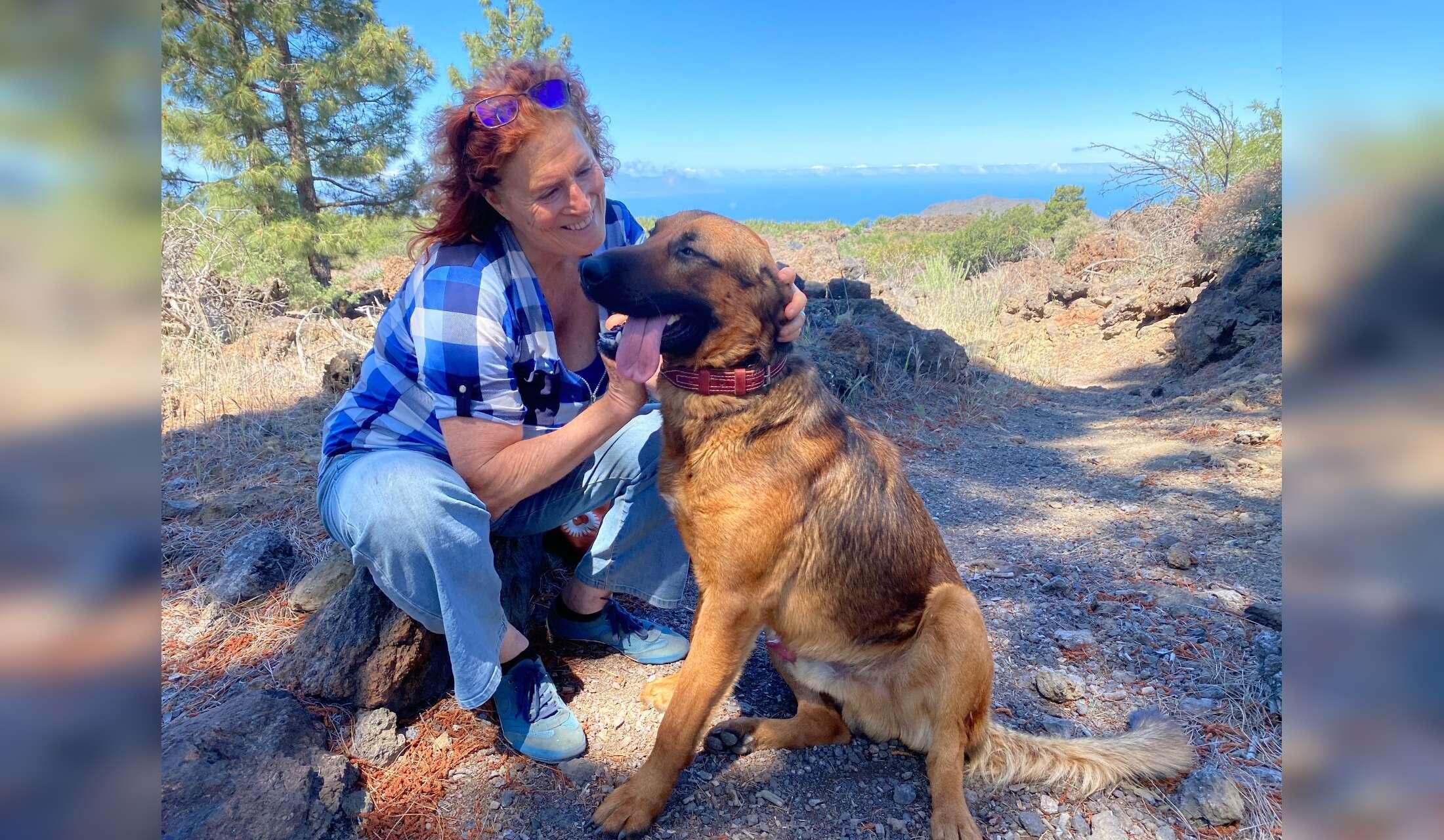 House- & Pet-Sitter Wanted on a Permaculture Finca in Vilaflor, Tenerife - Image 2