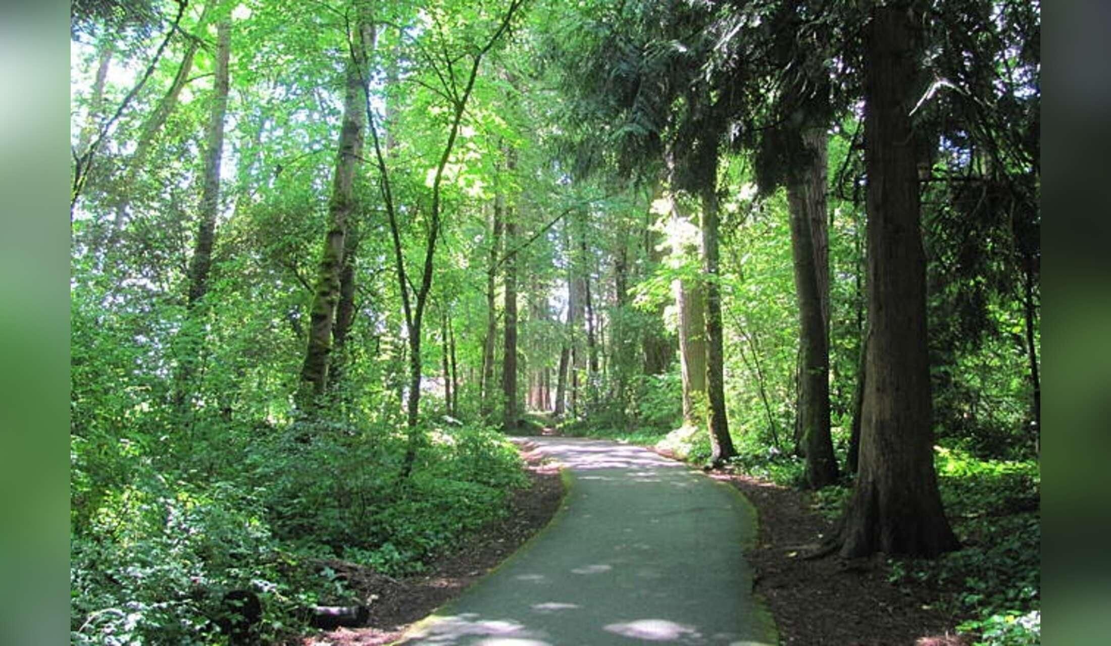 Walkable Portland, OR Retreat - November Dates — Meet Higgins & Marge - Image 10