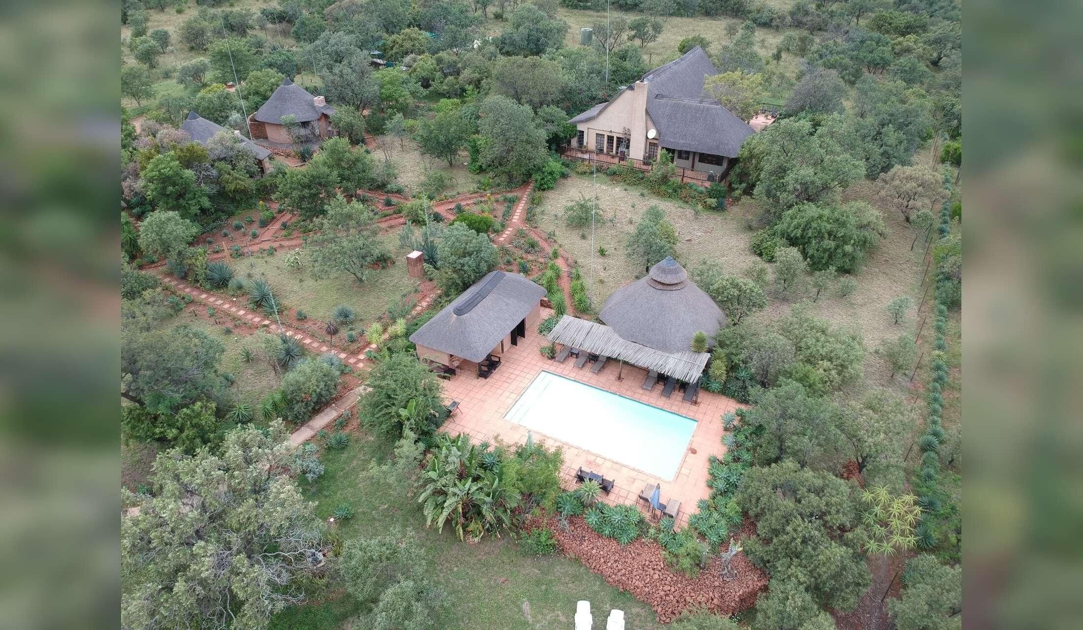 House sit in the african bush - Image 5