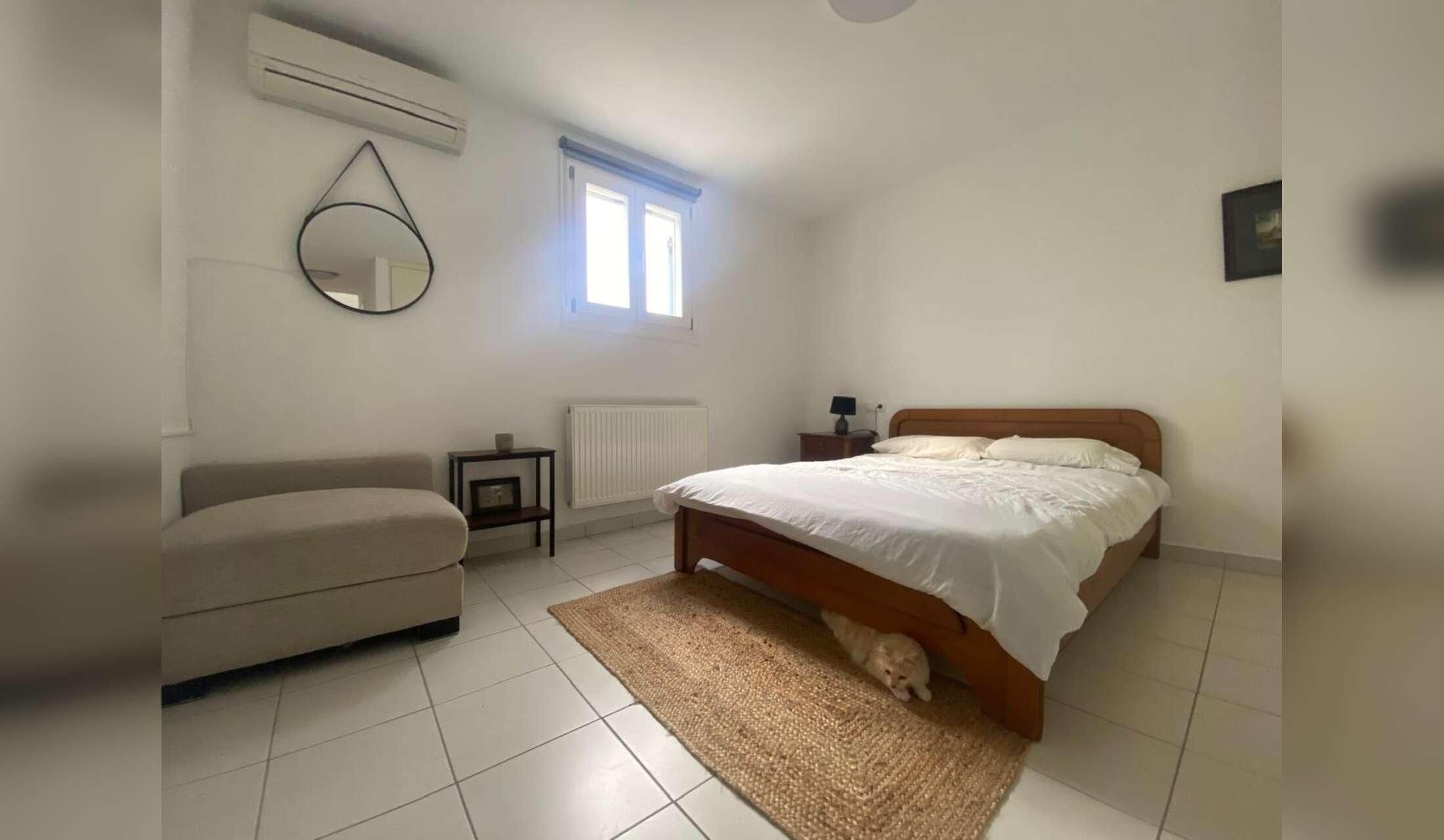 Seeking experienced dog and cat lover for Syros Island. - Image 4