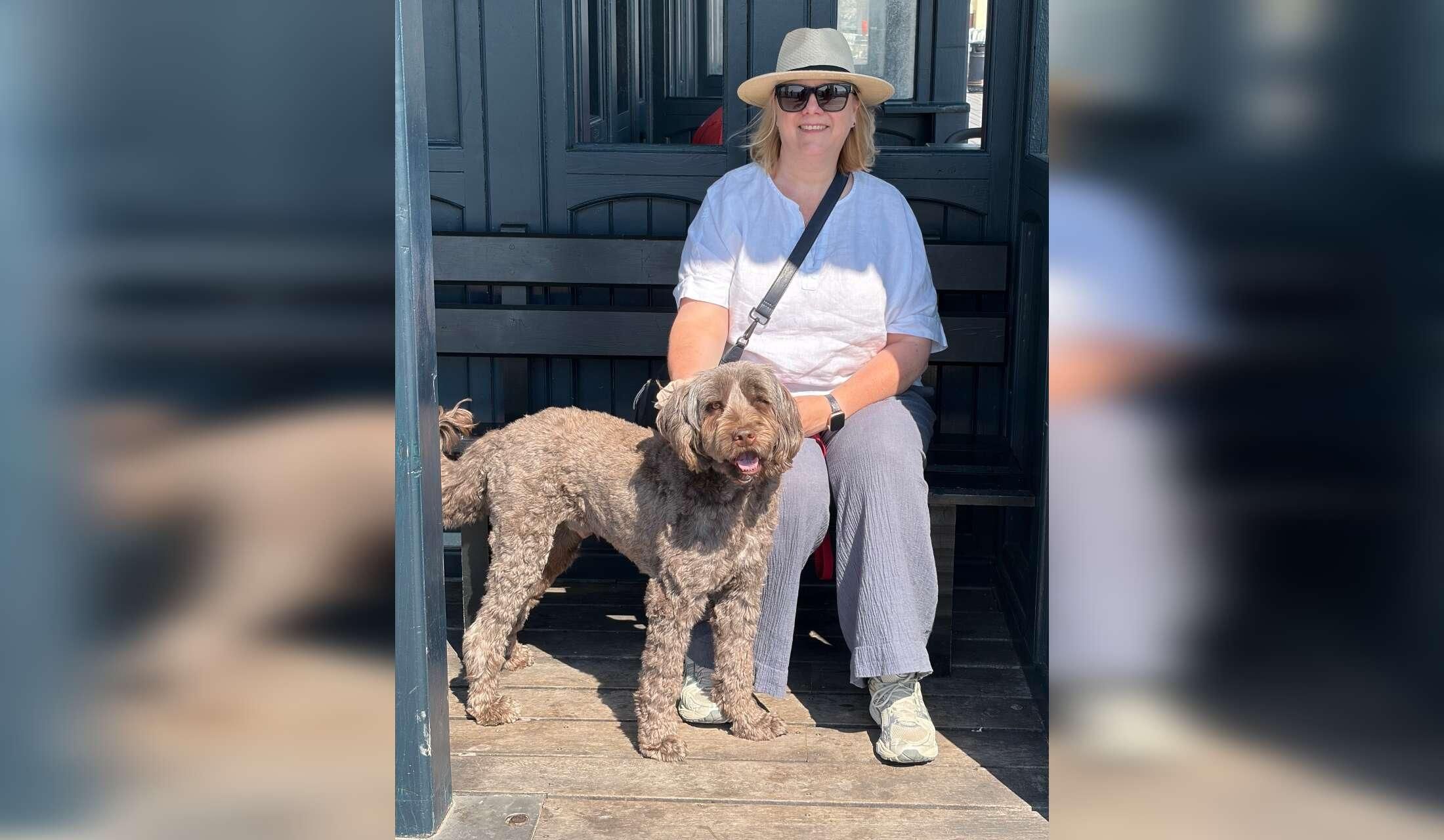 Seeking sitter for house and friendly labradoodle - Image 2