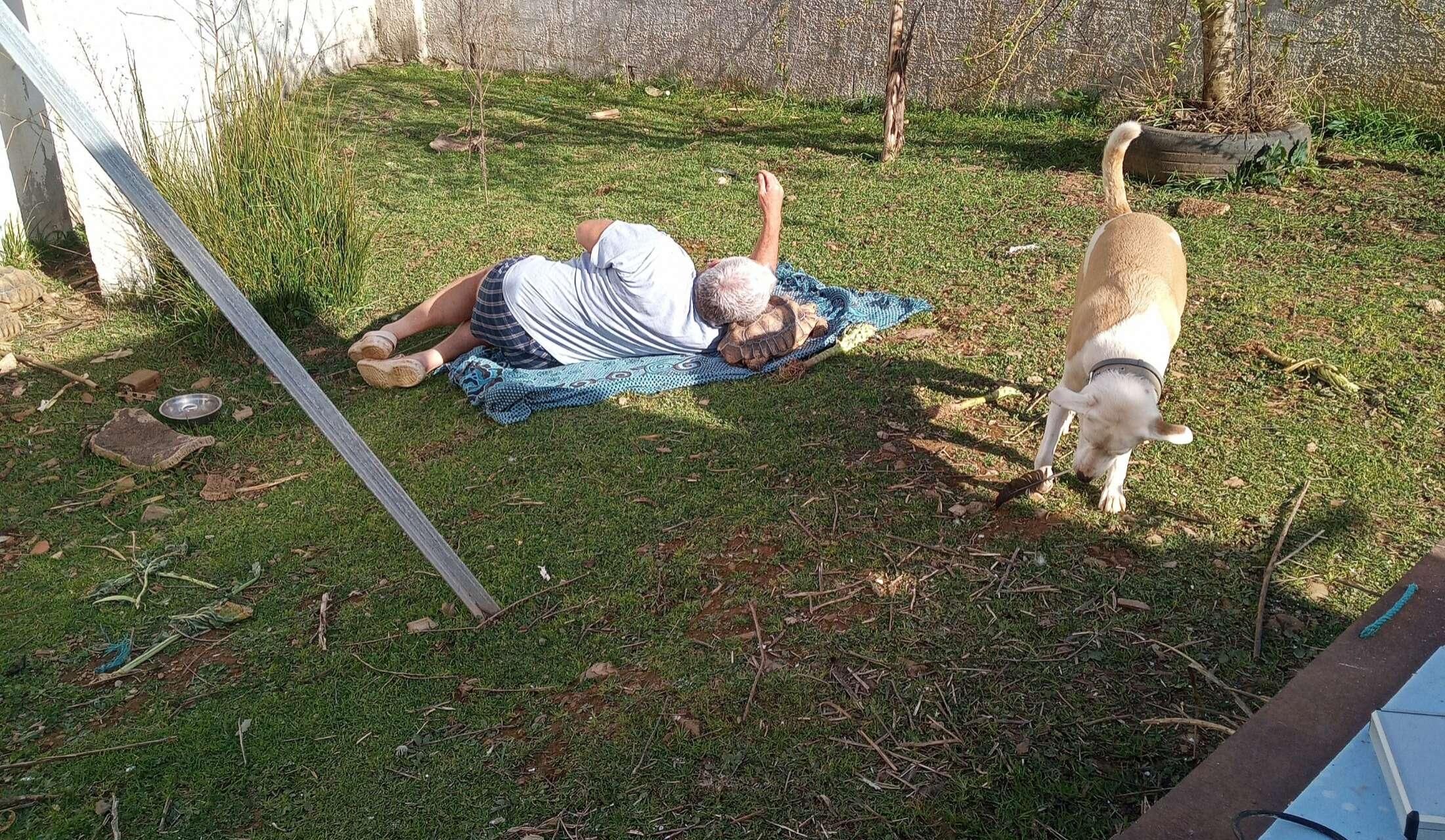 Looking after a small farm and assorted animals - Image 7